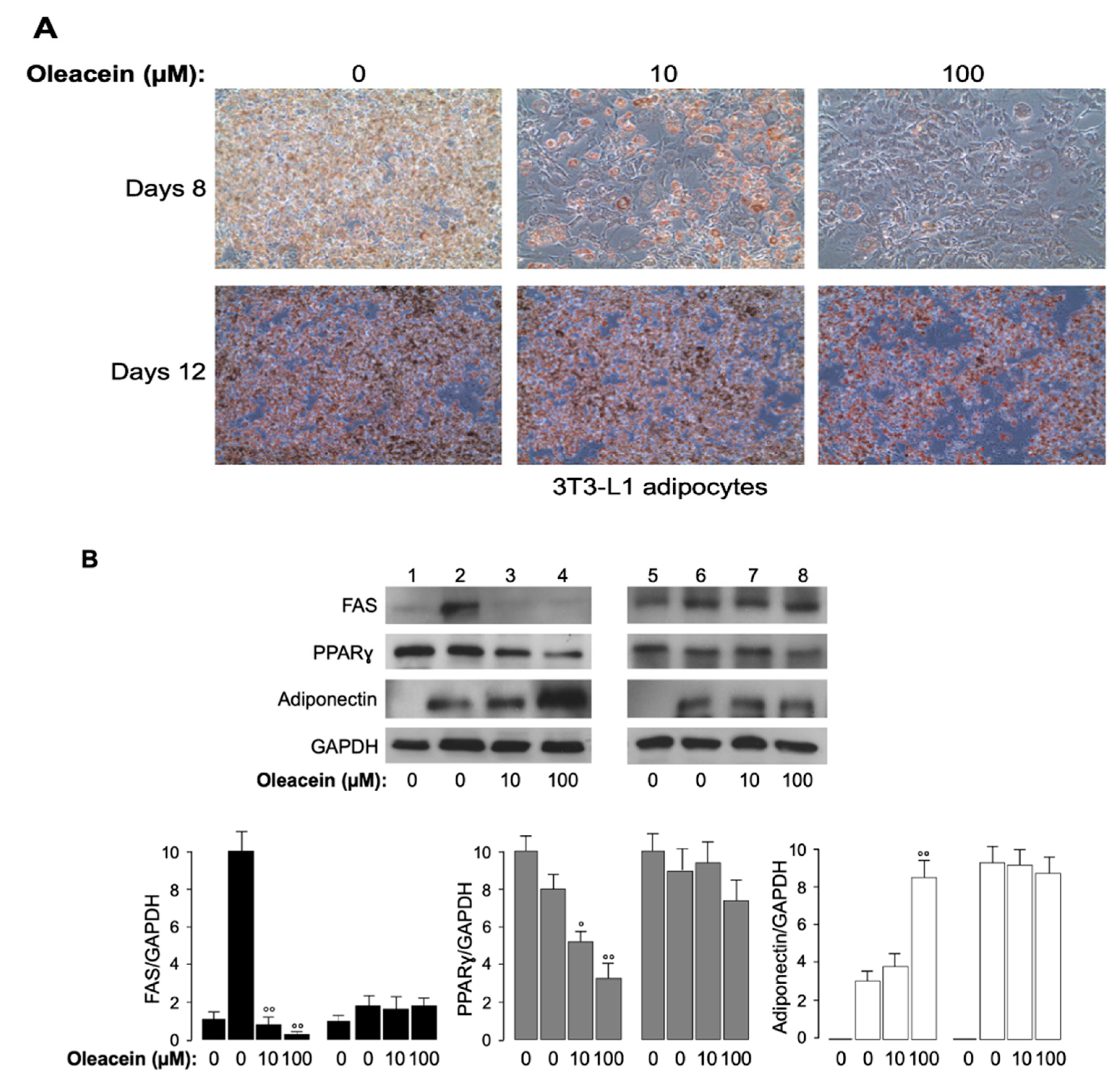 Nutrients 11 01829 g004