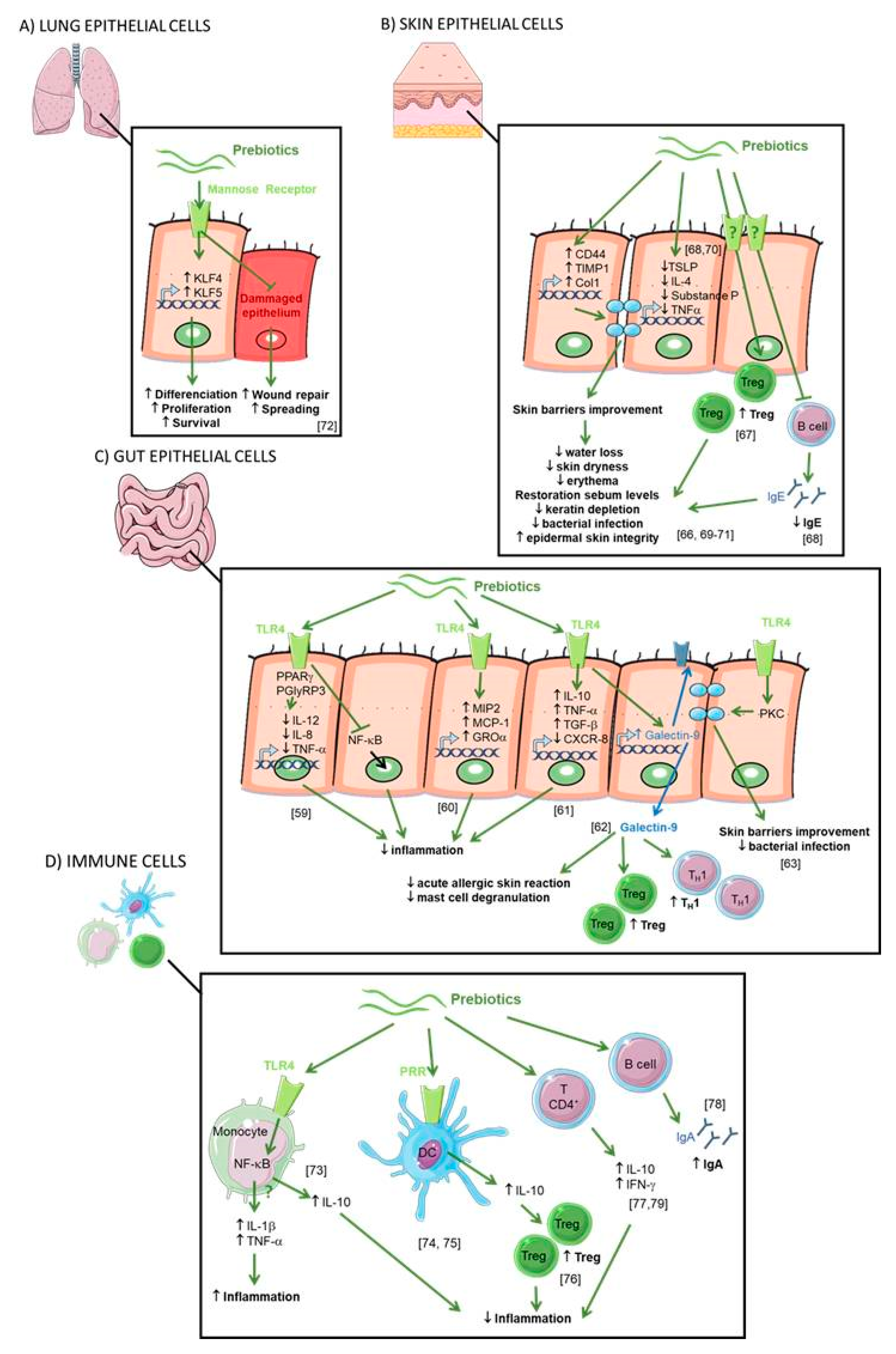 Nutrients 11 01841 g004