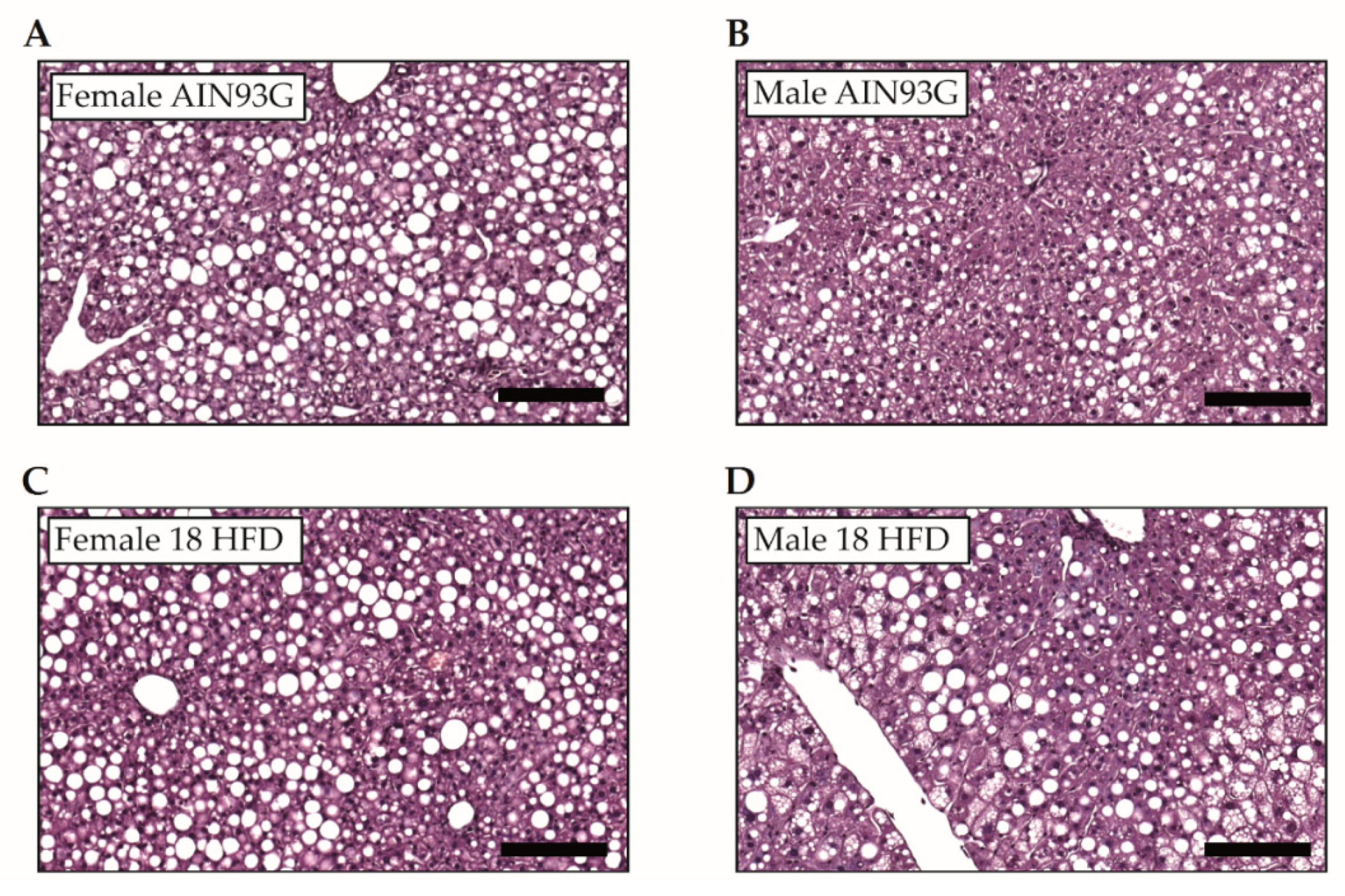 Nutrients 11 01861 g006a Nutrients 11 01861 g006a