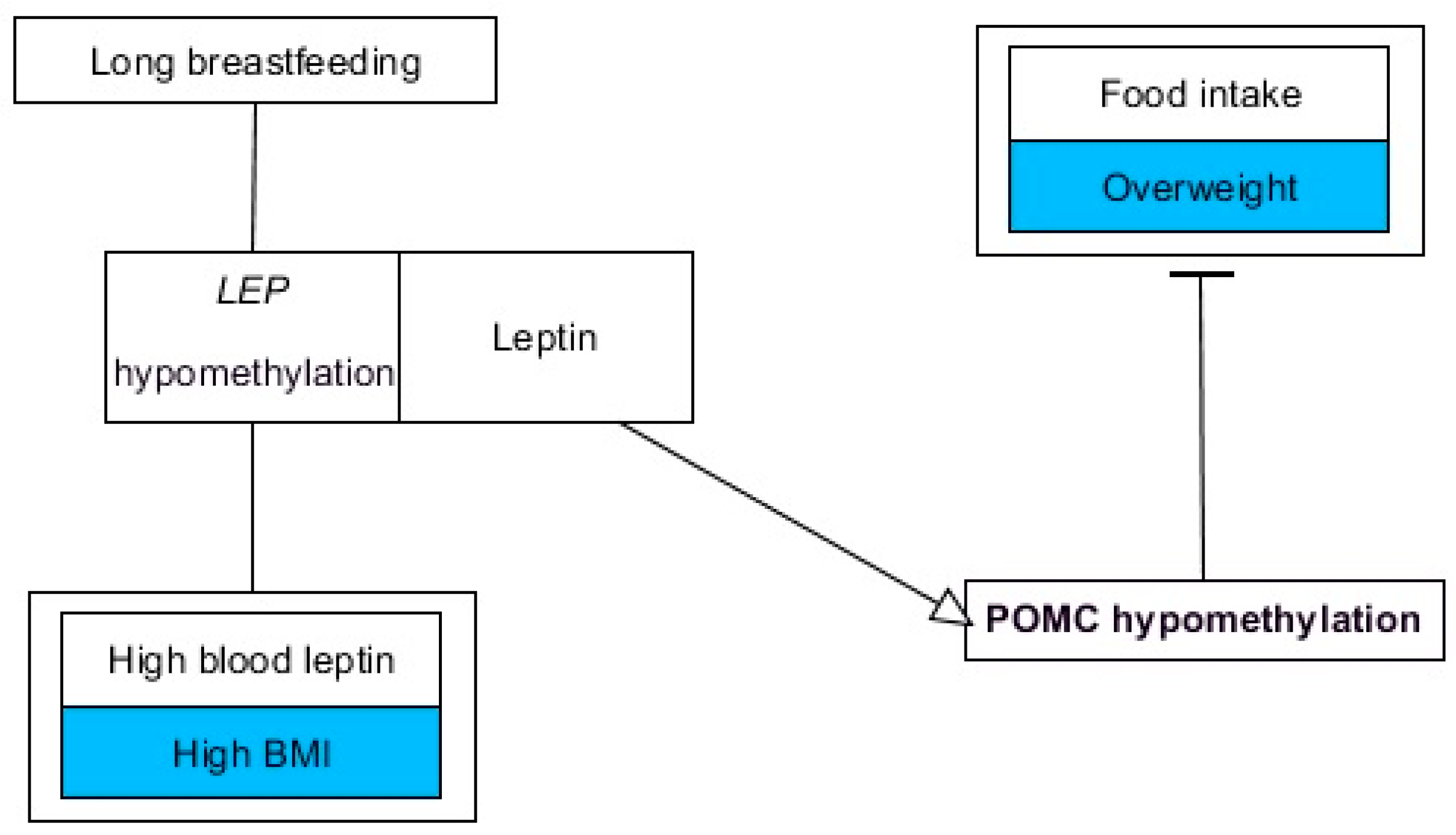 Nutrients 11 01872 g003