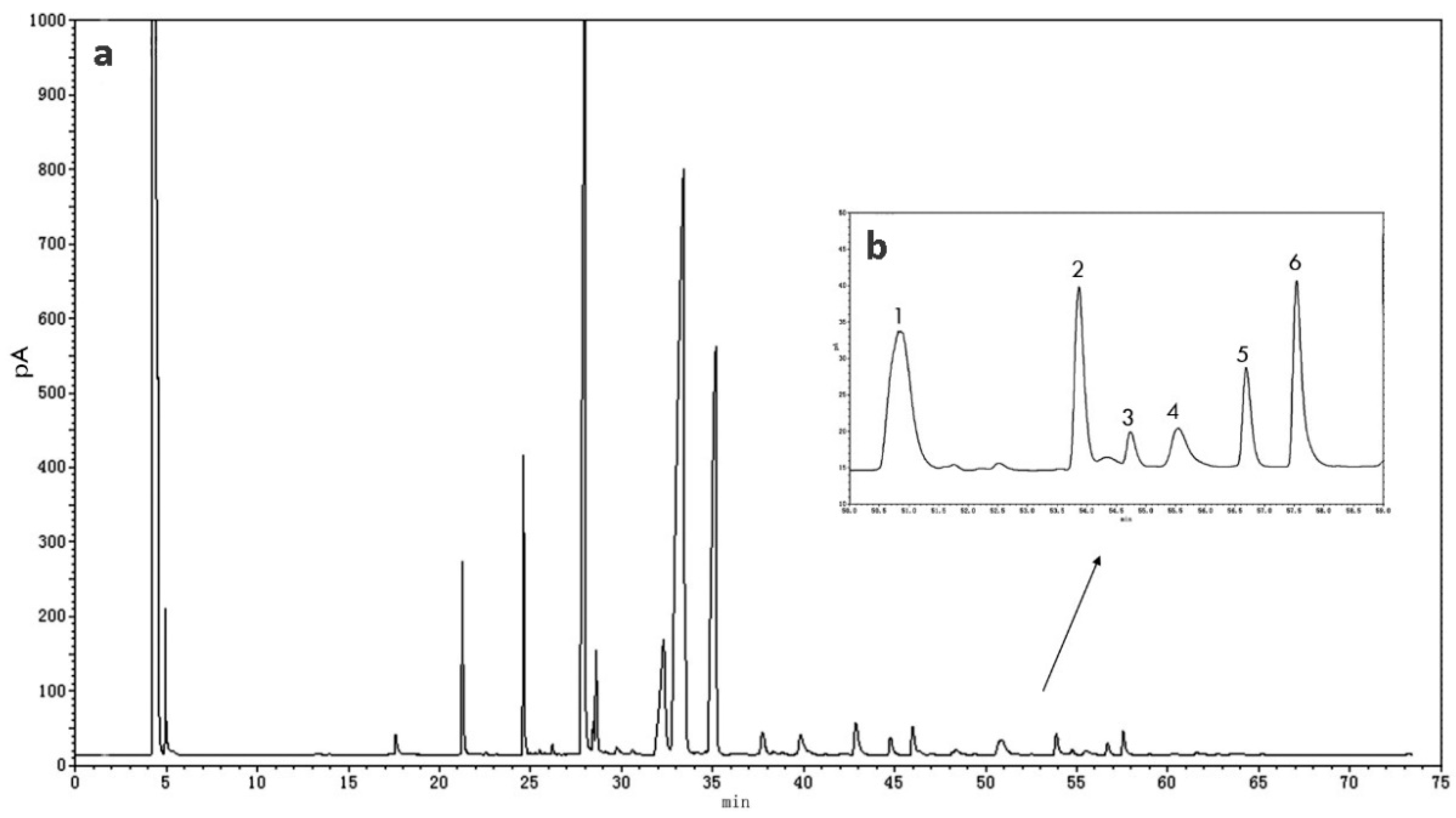 Nutrients 11 01892 g001 Nutrients 11 01892 g001