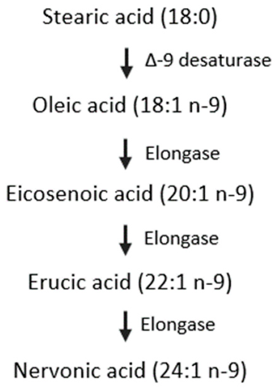 Nutrients 11 01892 g004 Nutrients 11 01892 g004