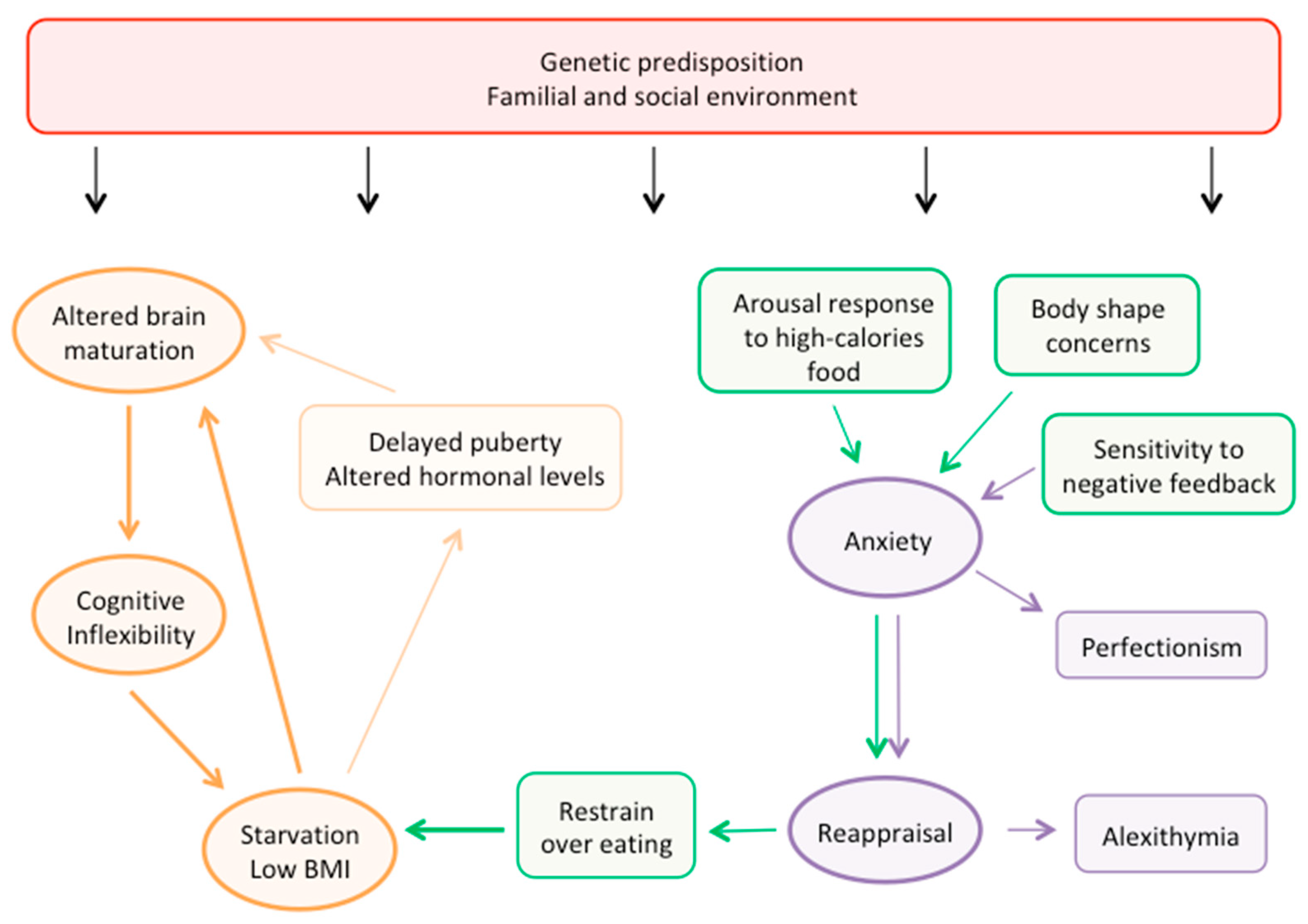 Nutrients 11 01907 g004