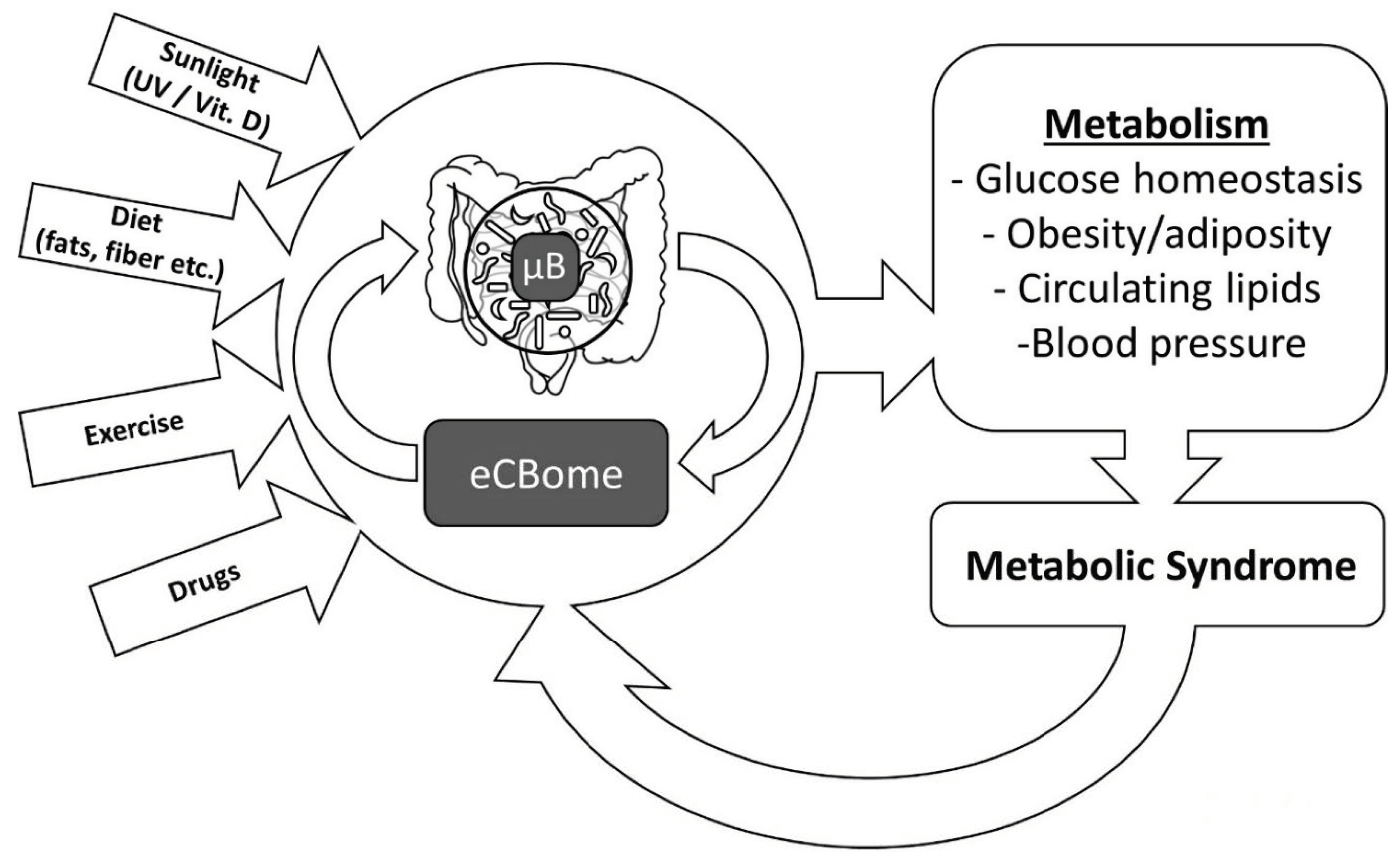 Nutrients 11 01956 g002