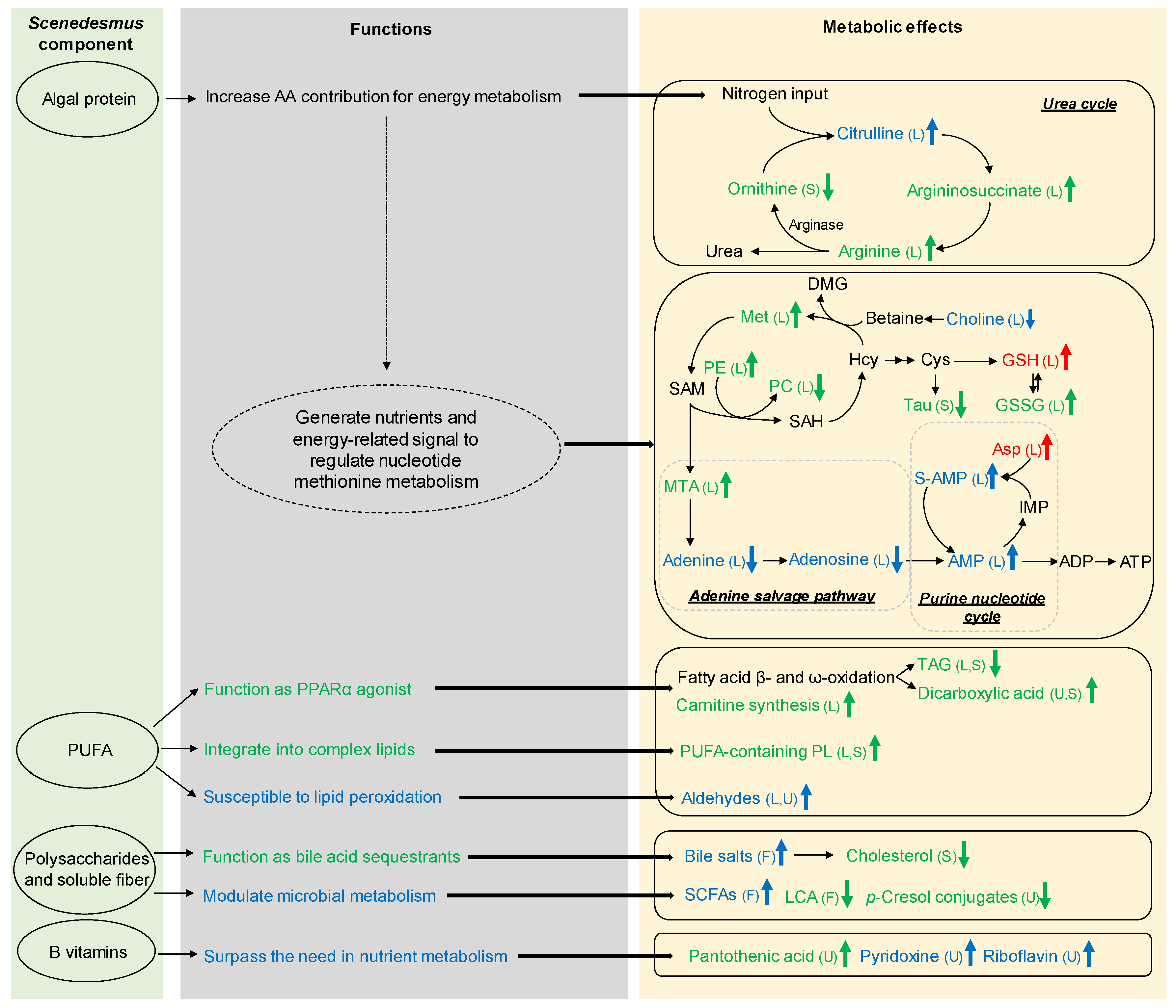 Nutrients 11 01971 g009