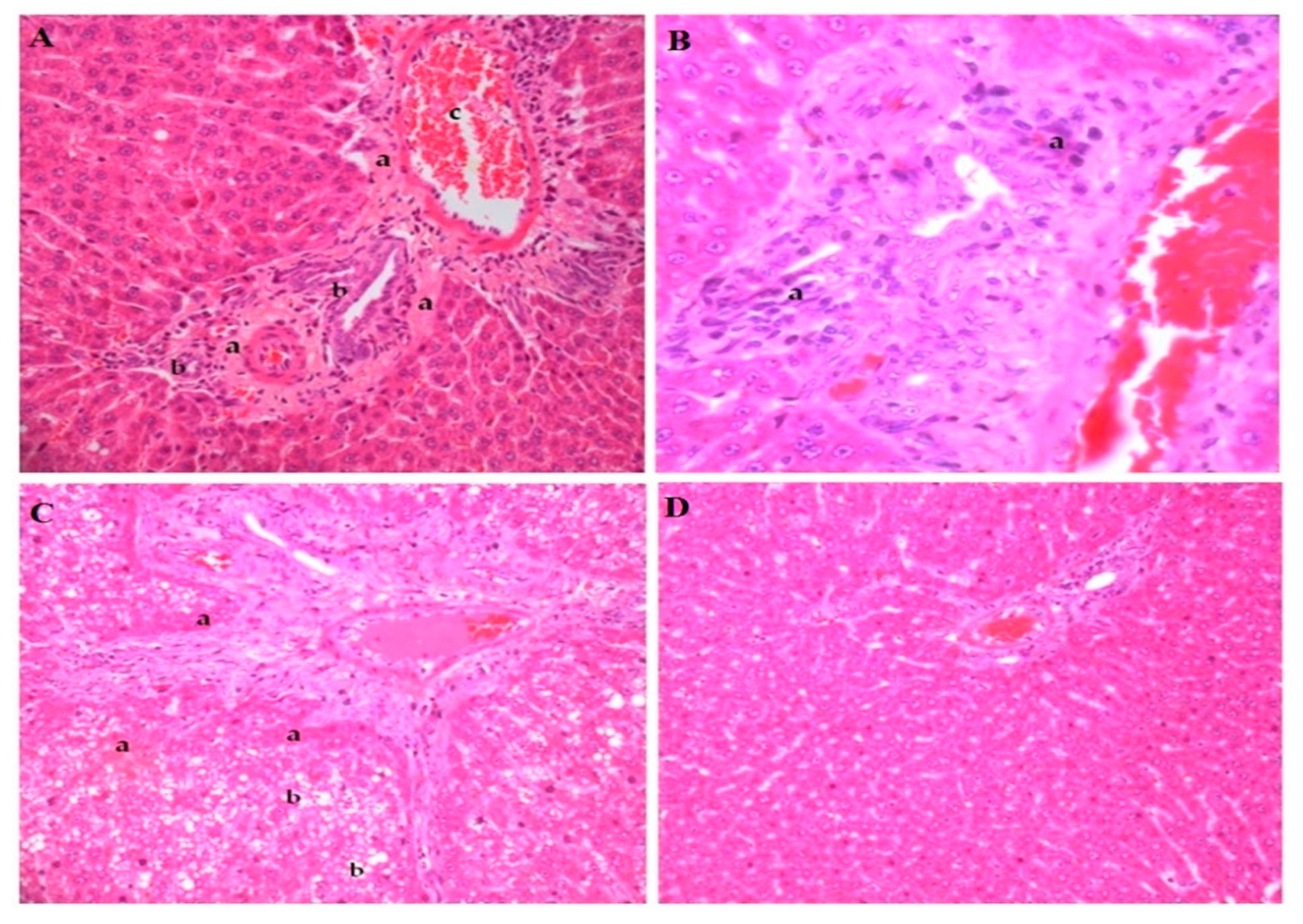 Nutrients 11 01978 g003