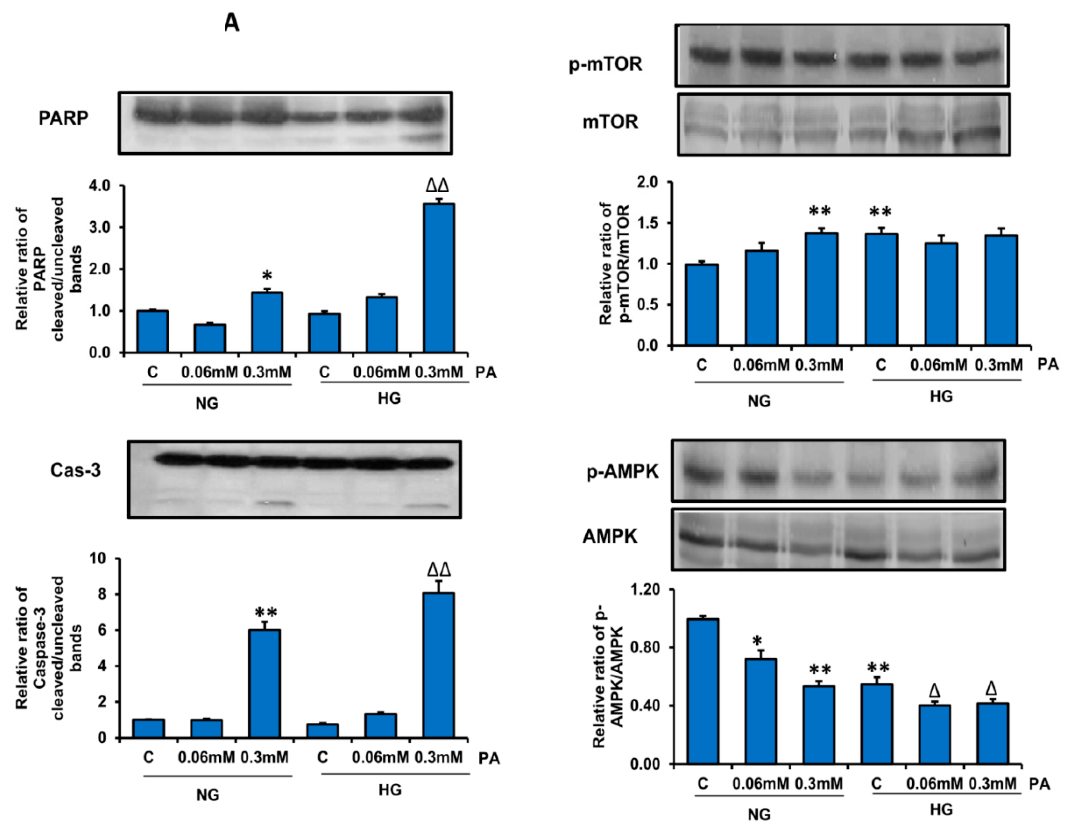 Nutrients 11 01979 g013a