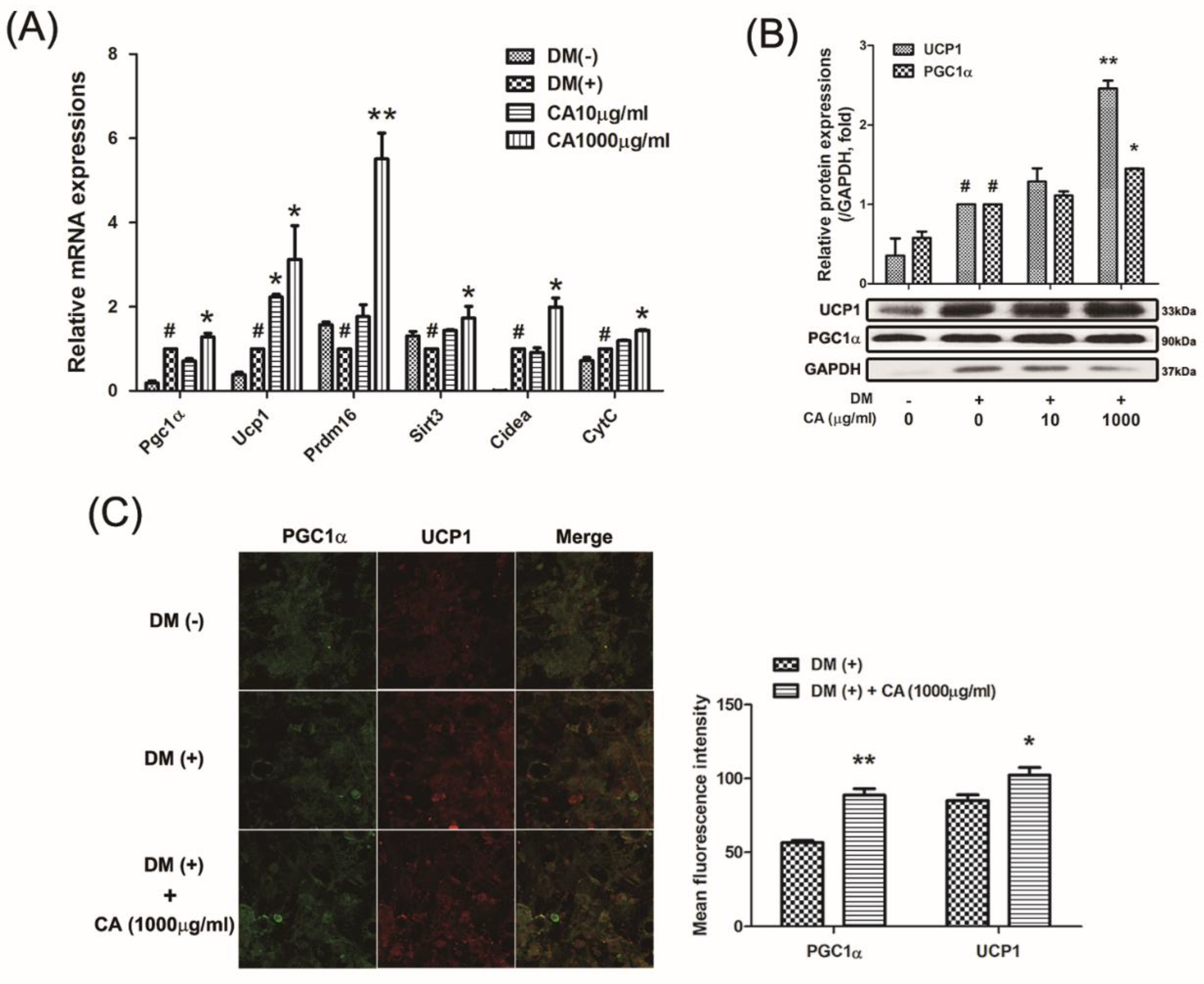 Nutrients 11 01988 g005