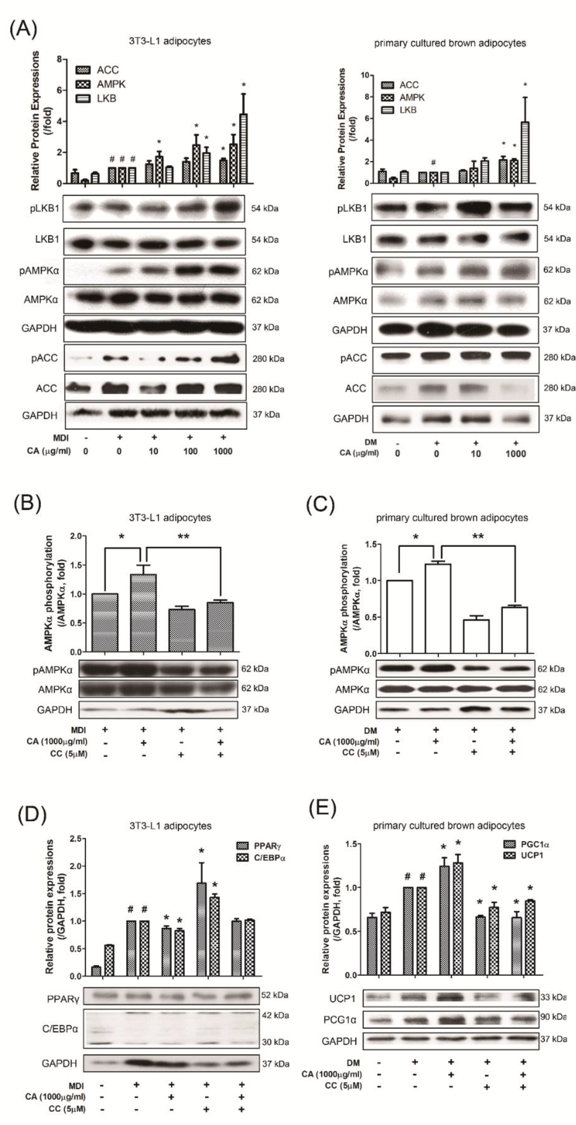 Nutrients 11 01988 g006