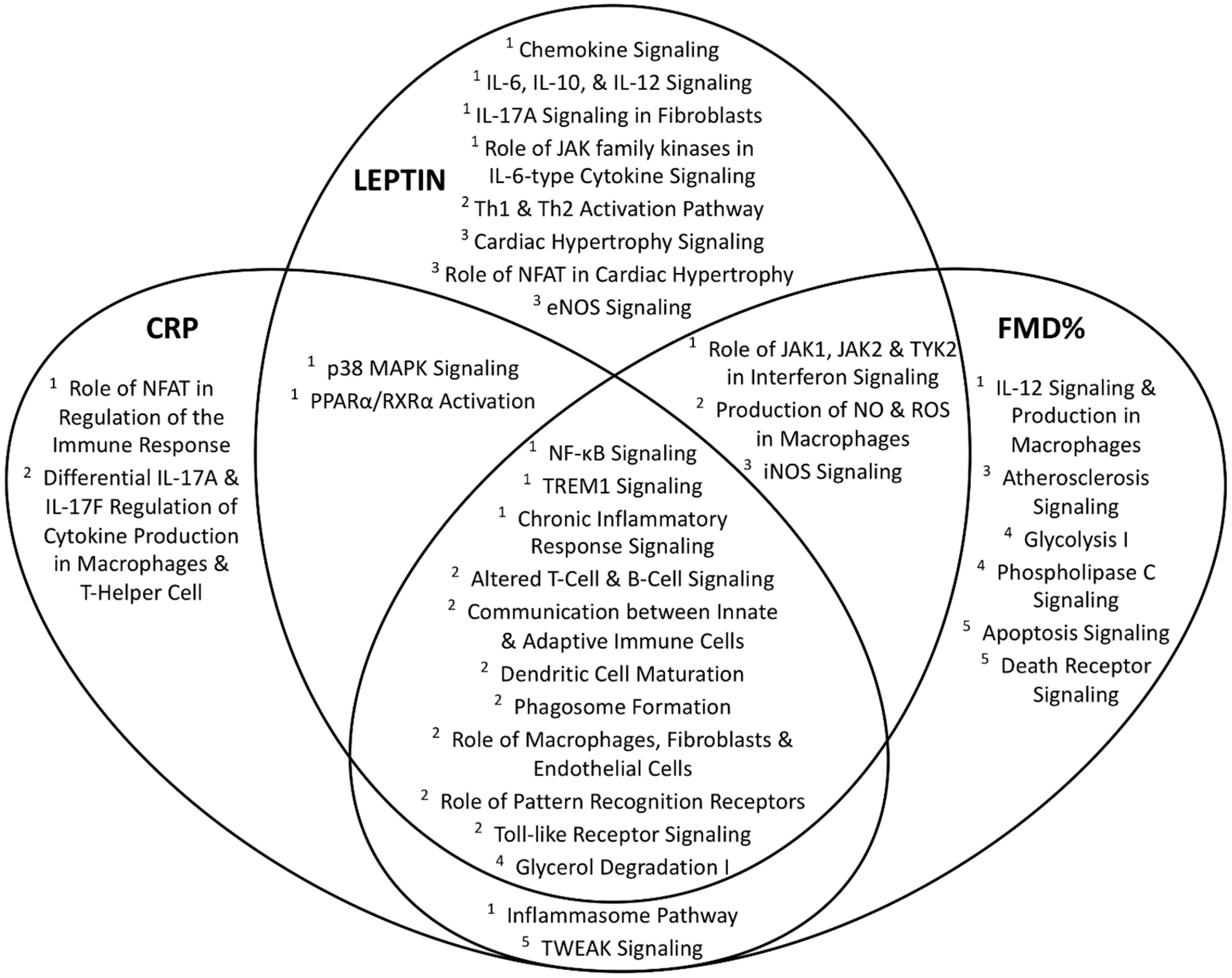 Nutrients 11 02016 g002 Nutrients 11 02016 g002