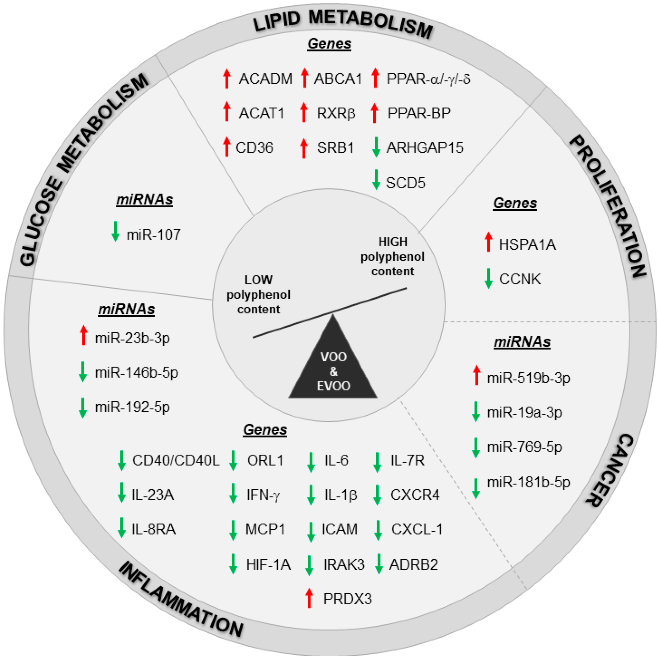 Nutrients 11 02085 g001