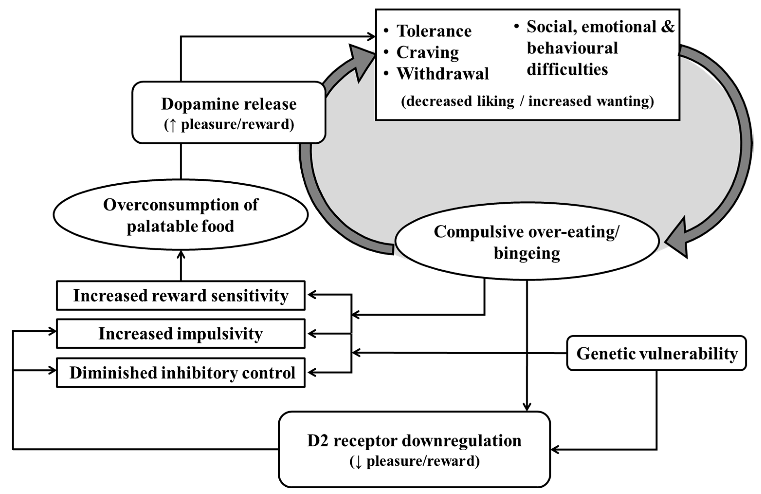 Nutrients 11 02086 g002 Nutrients 11 02086 g002