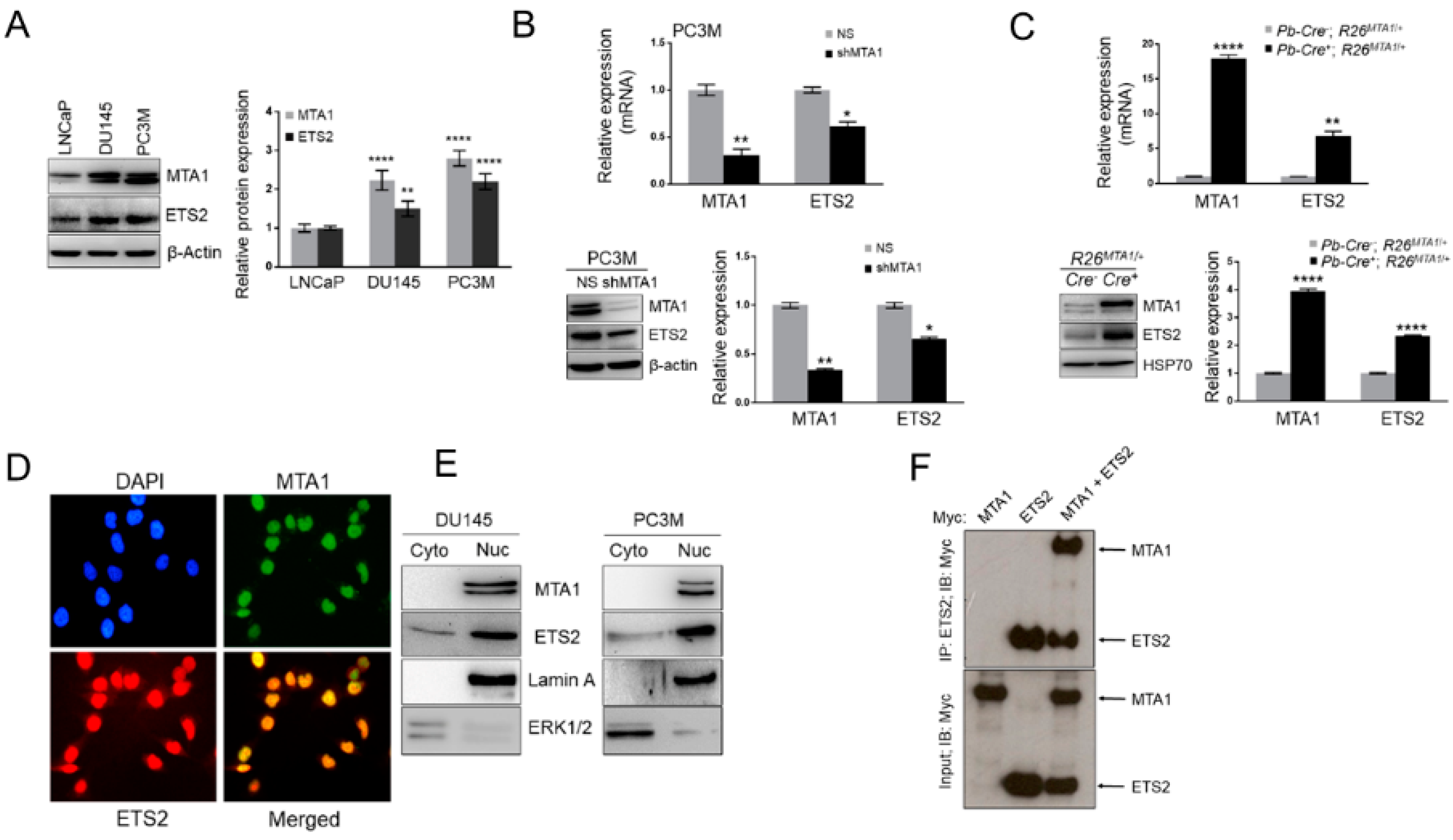 Nutrients 11 02096 g005