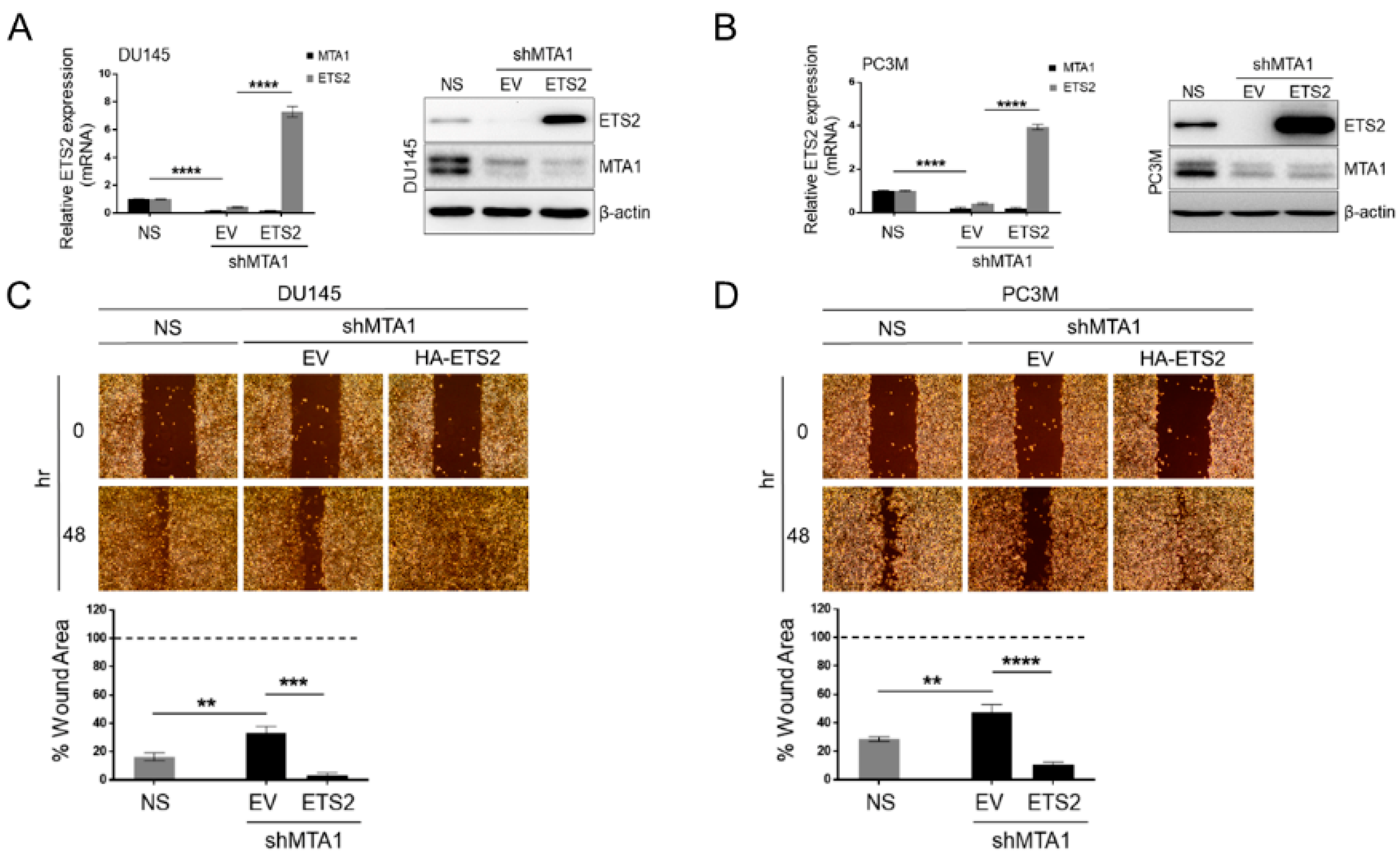 Nutrients 11 02096 g006