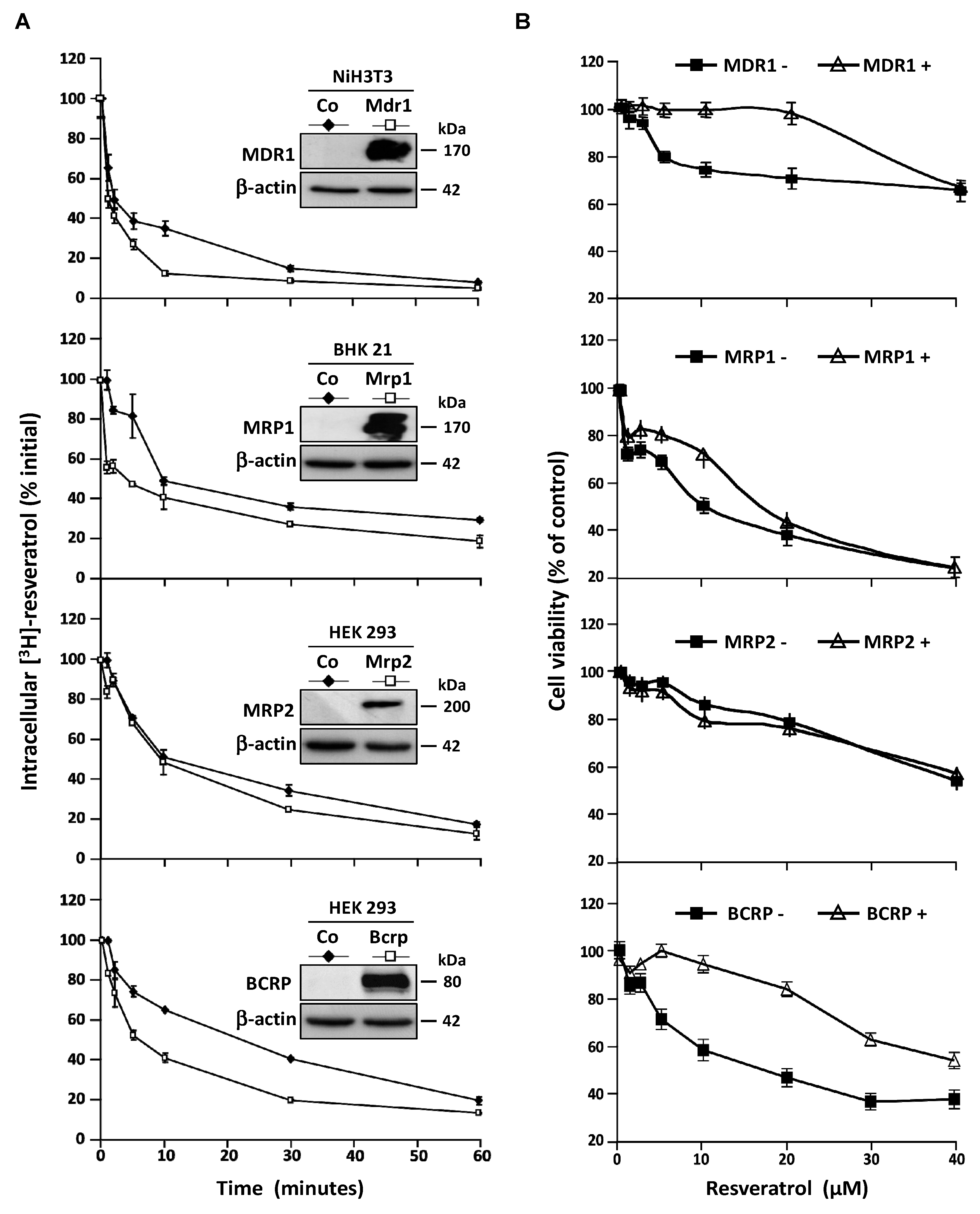 Nutrients 11 02098 g004