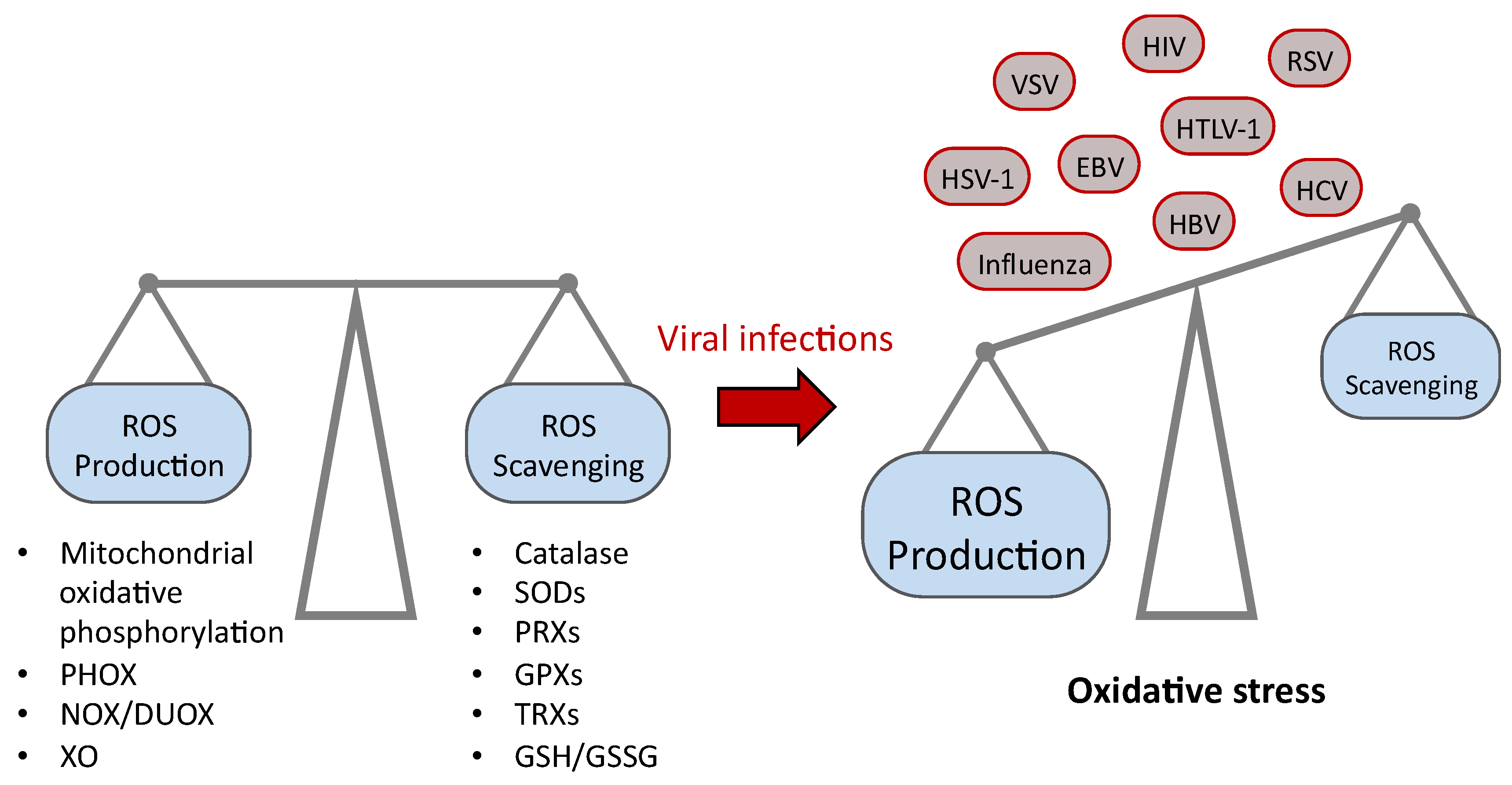 Nutrients 11 02101 g001