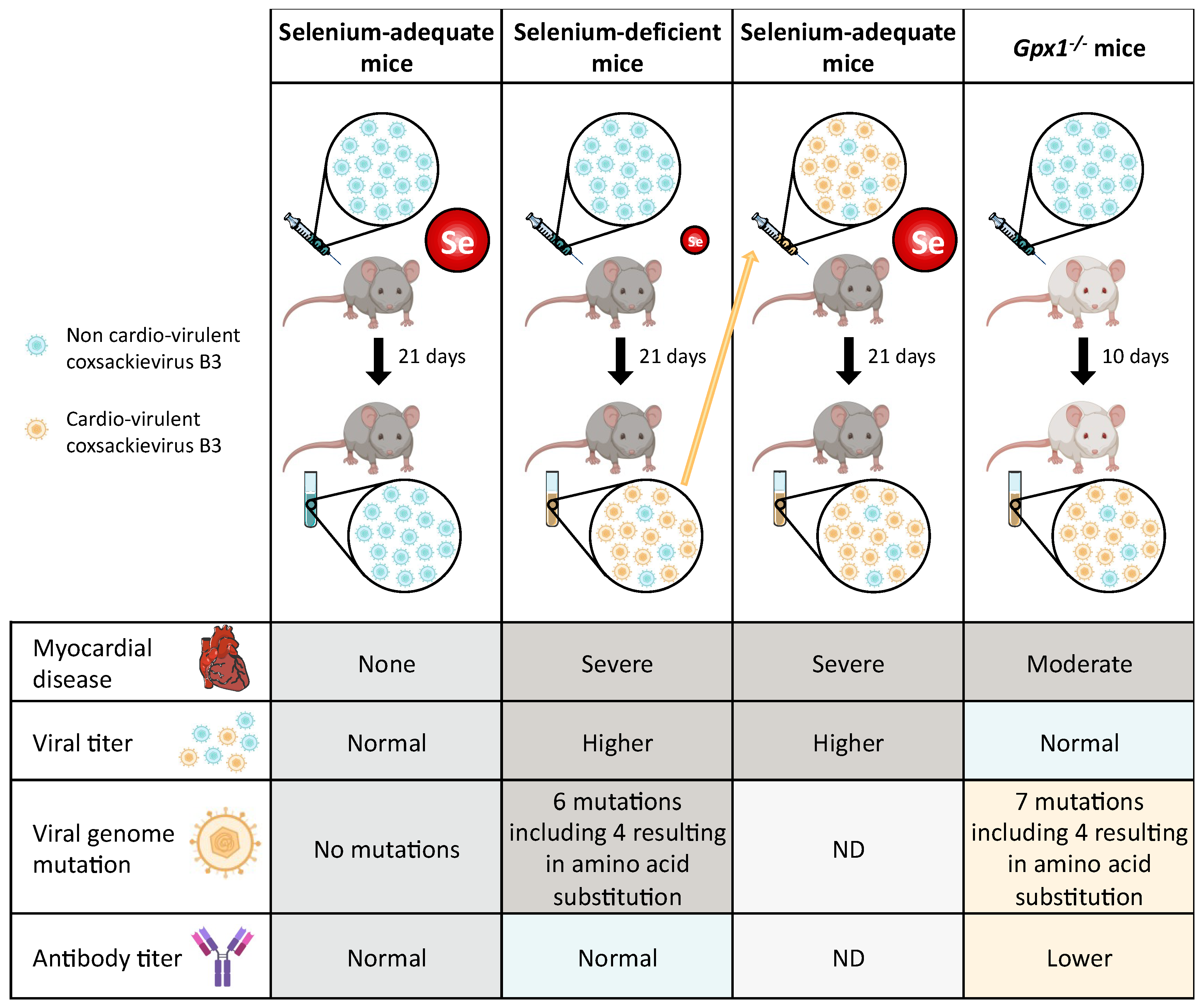 Nutrients 11 02101 g003