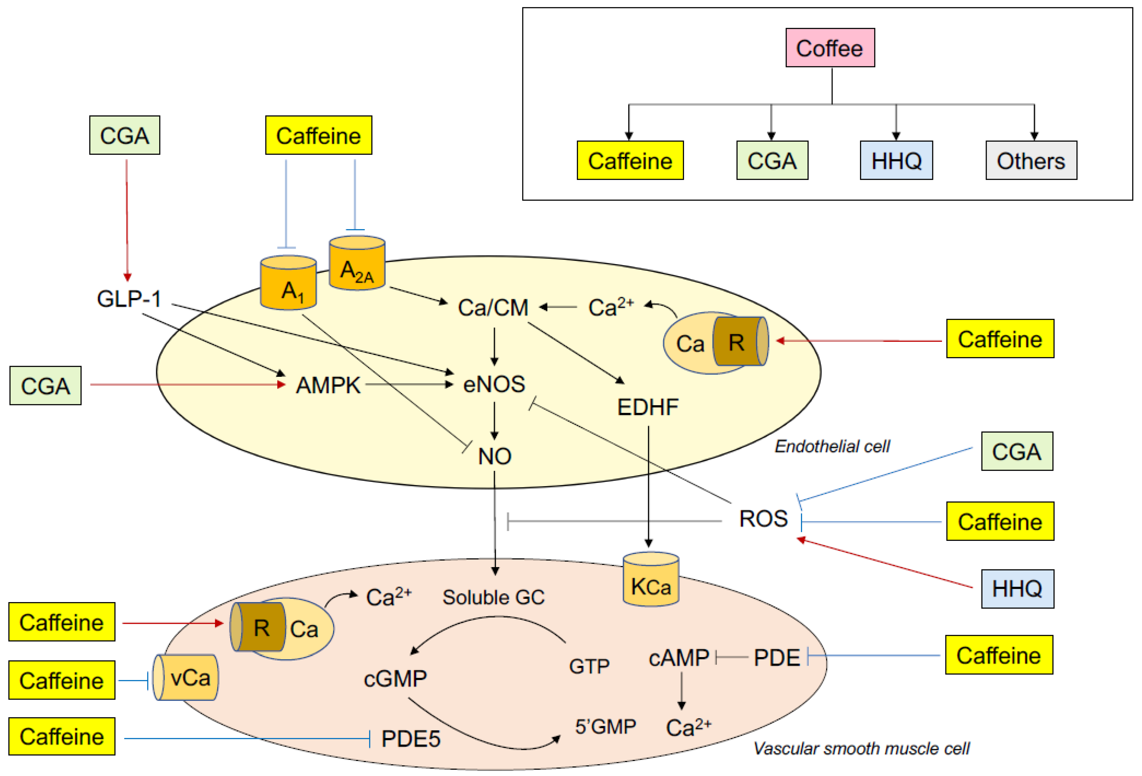 Nutrients 11 02104 g001