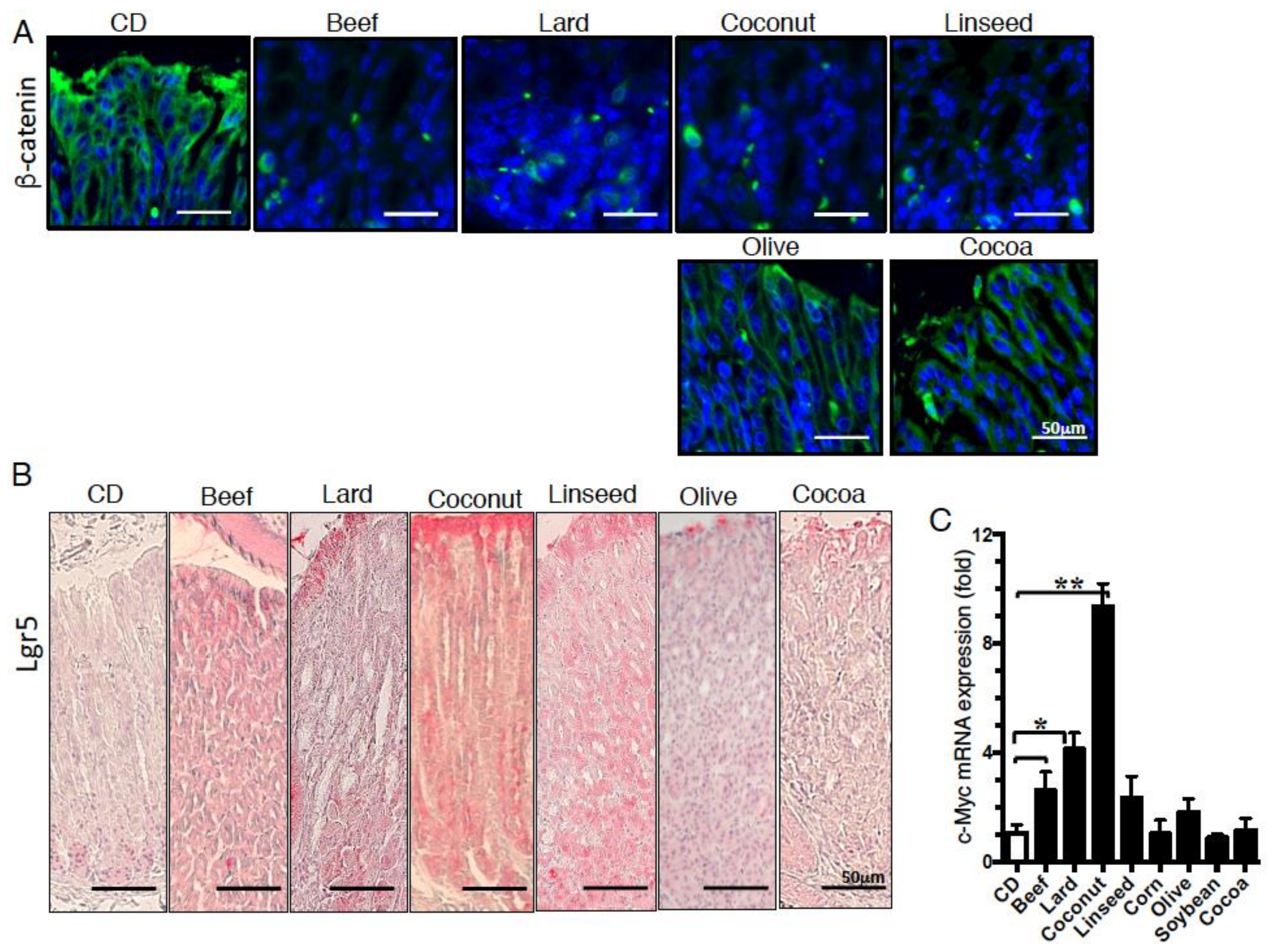 Nutrients 11 02127 g006 Nutrients 11 02127 g006