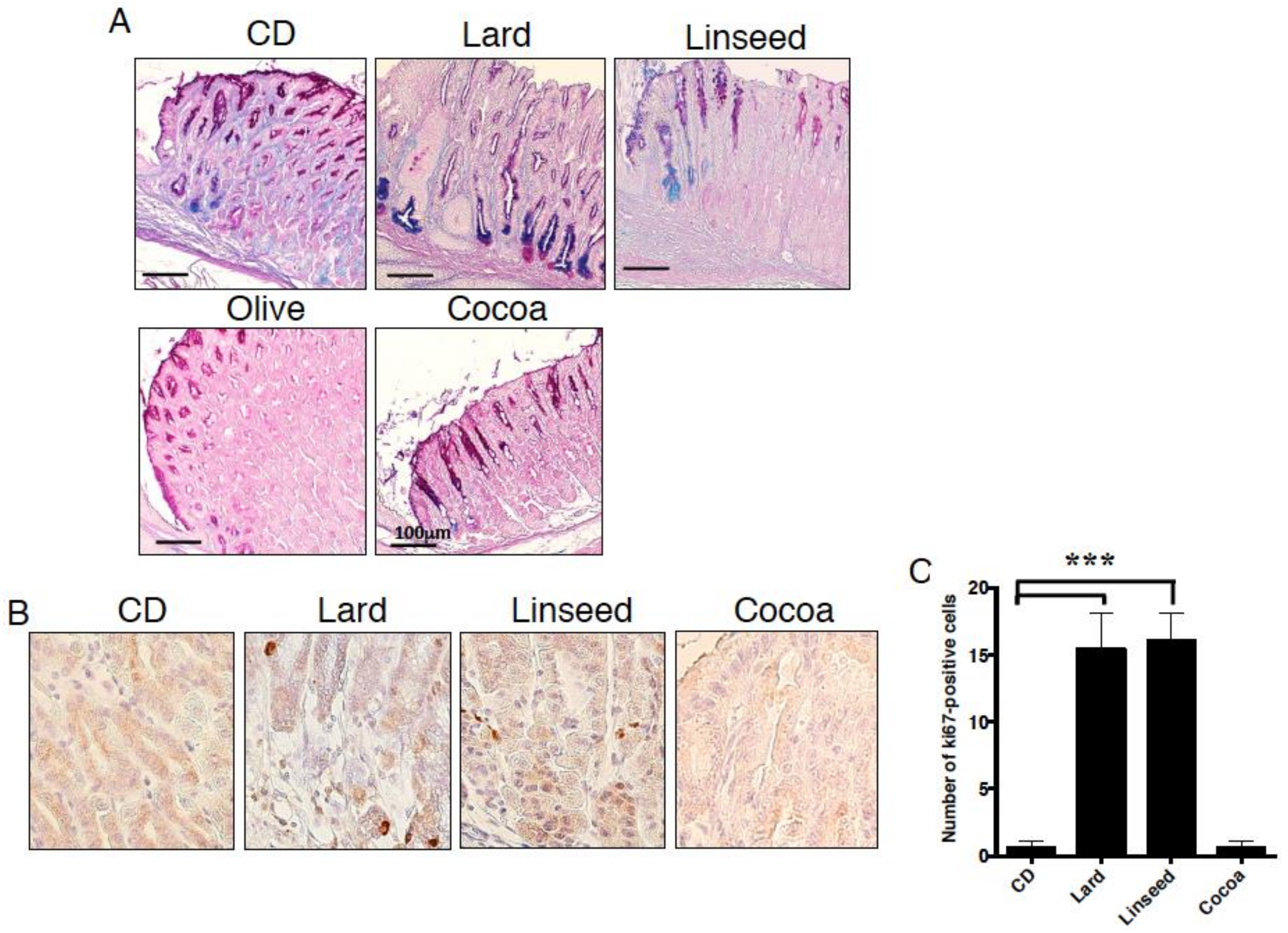 Nutrients 11 02127 g008 Nutrients 11 02127 g008