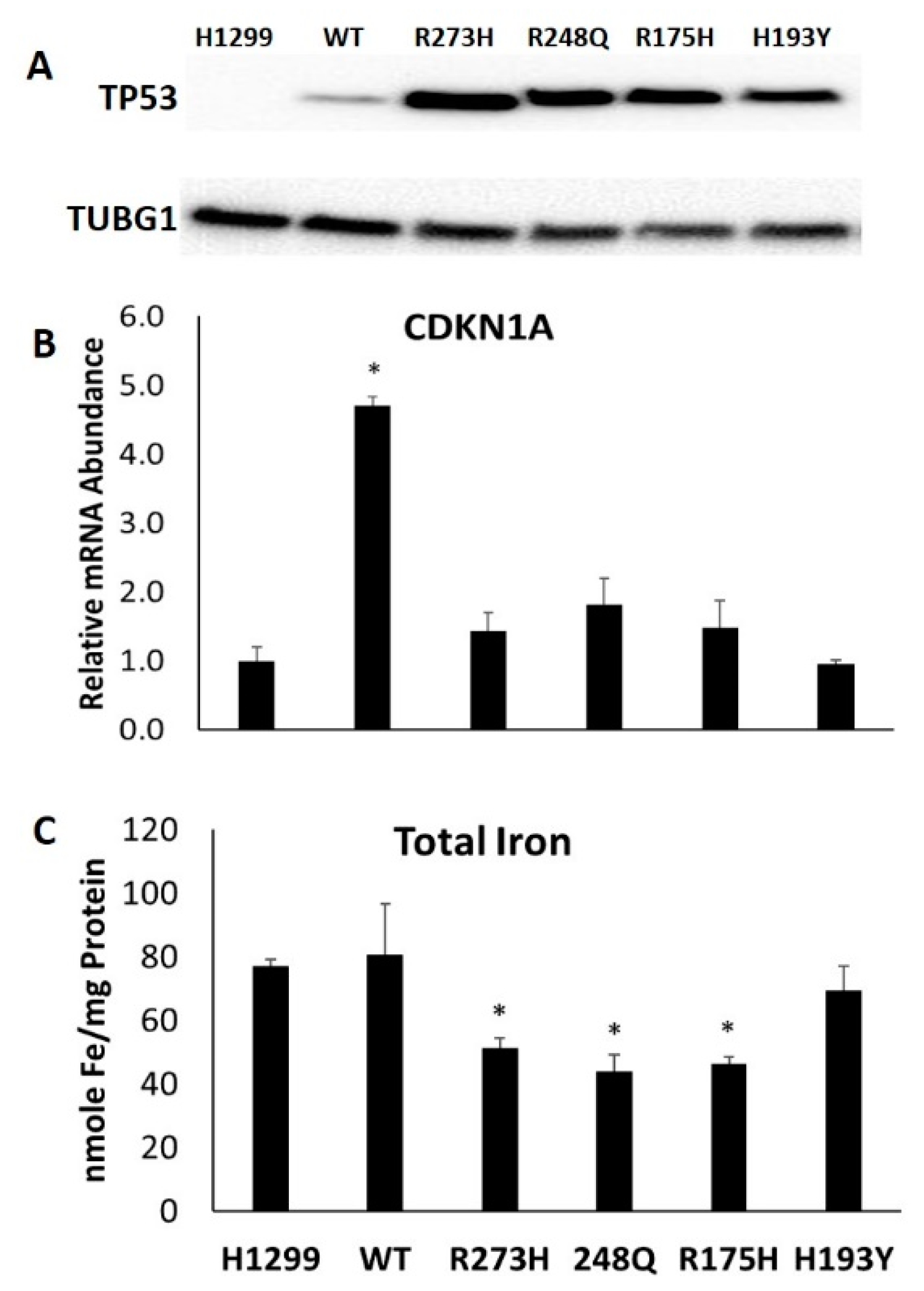 Nutrients 11 02144 g001