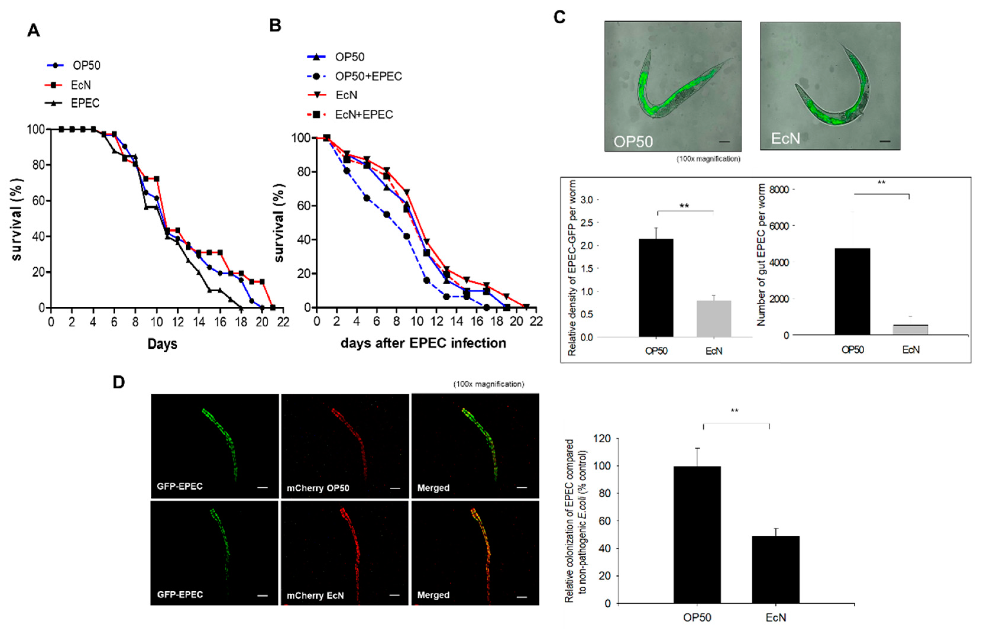 Nutrients 11 02146 g001