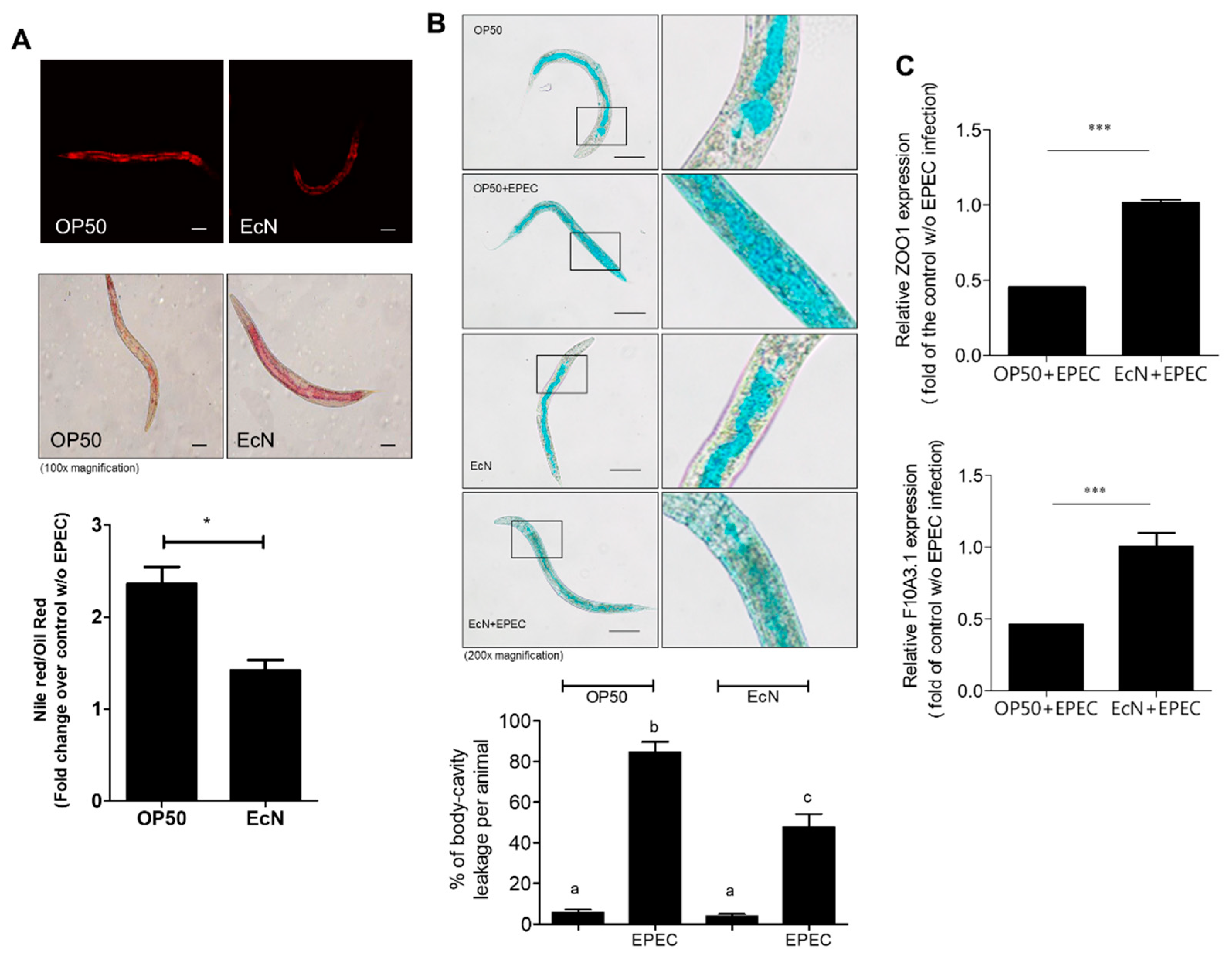 Nutrients 11 02146 g002