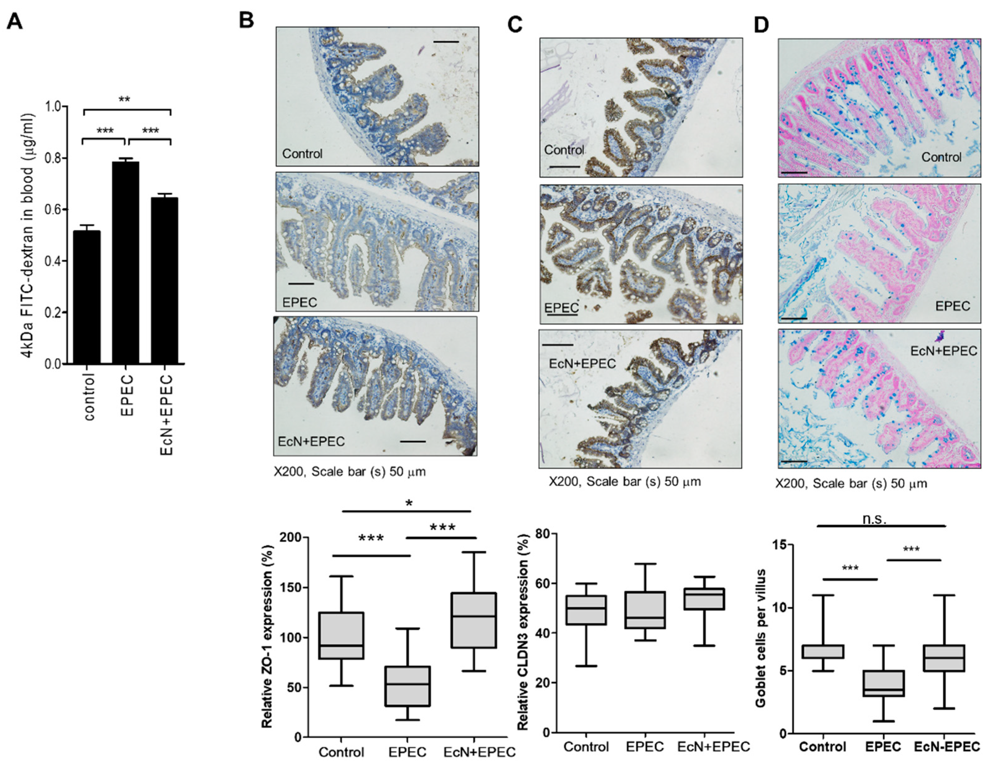 Nutrients 11 02146 g003