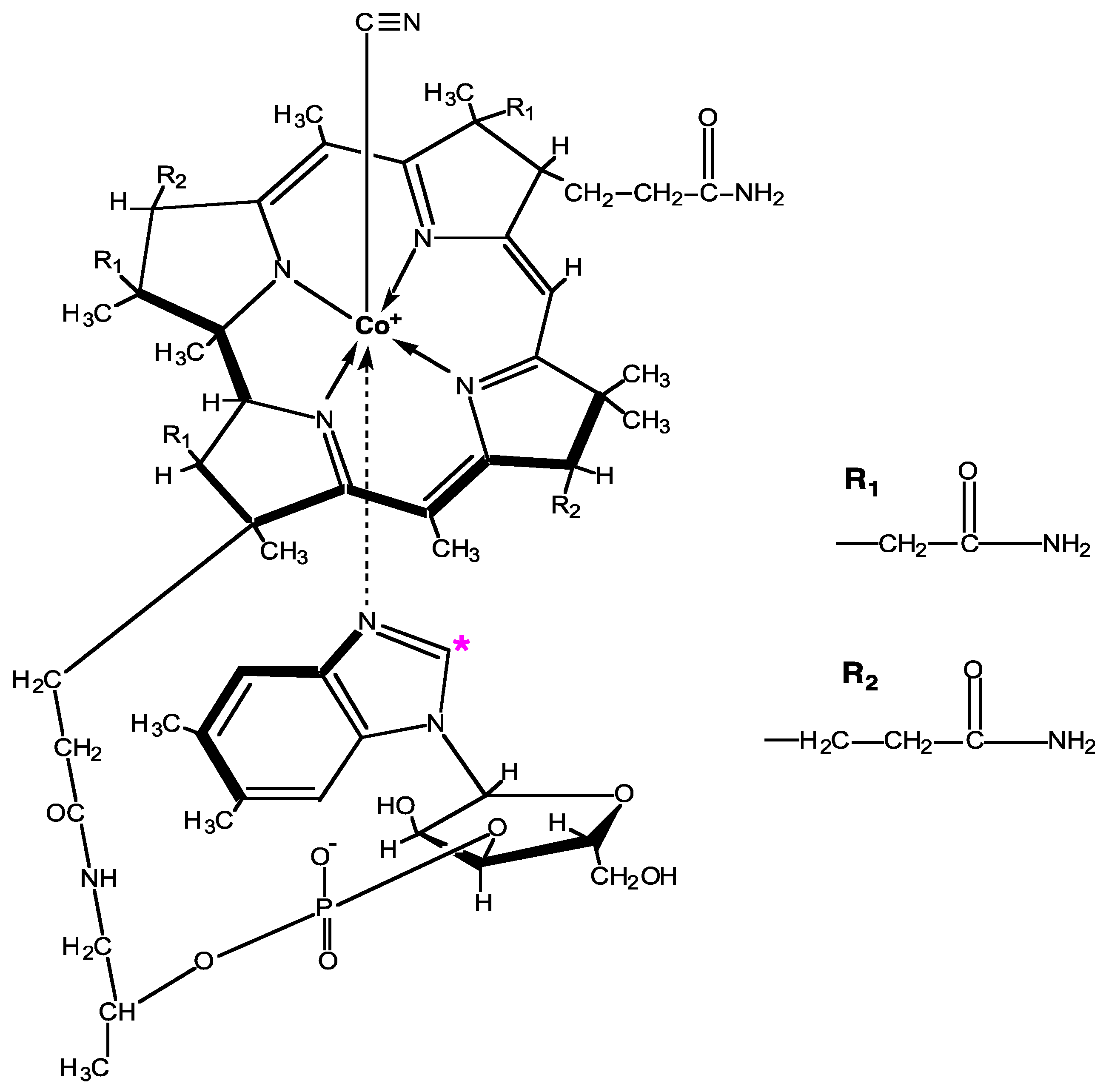 Nutrients 11 02148 g001