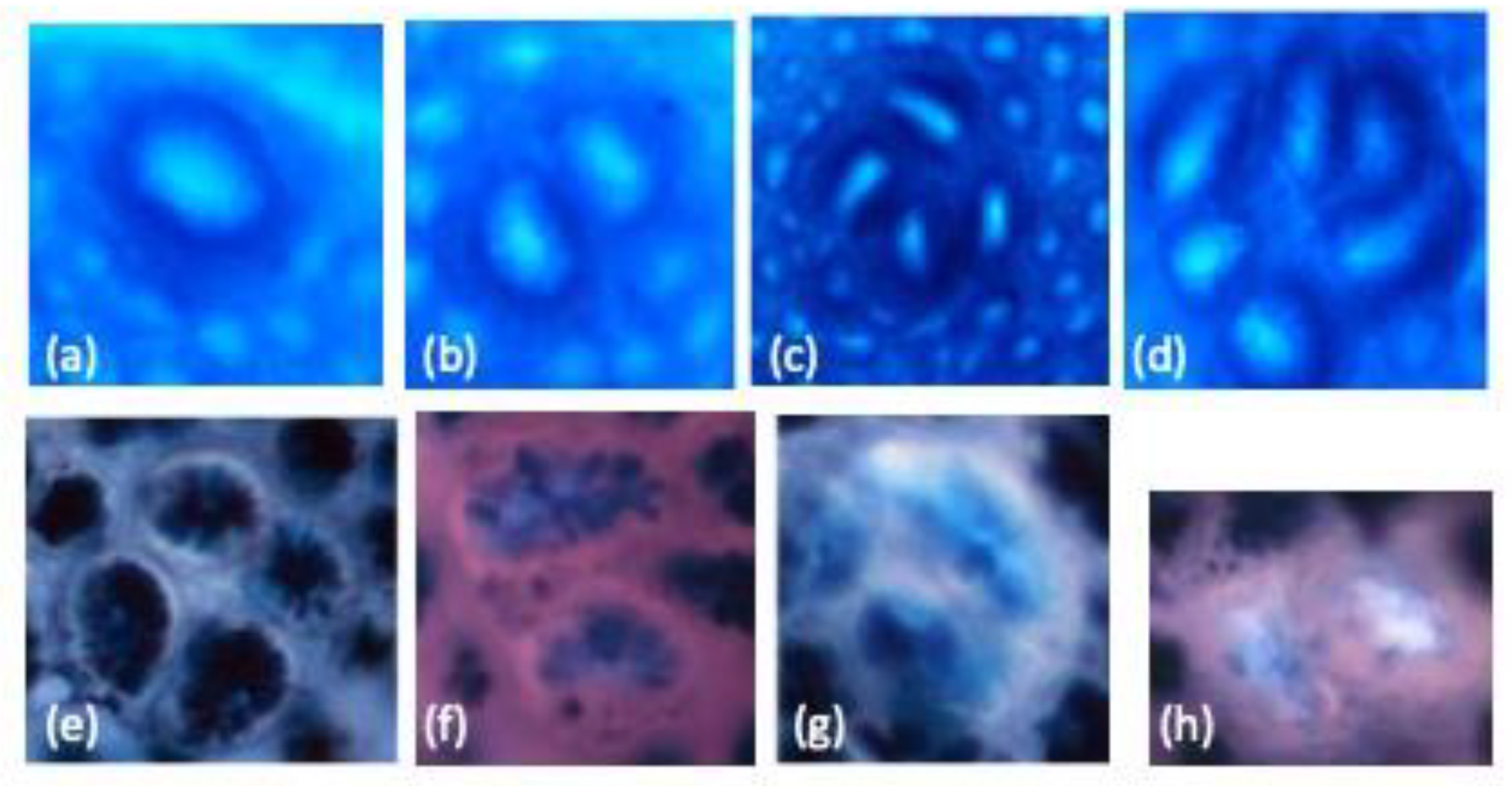 Nutrients 11 02168 g001 Nutrients 11 02168 g001
