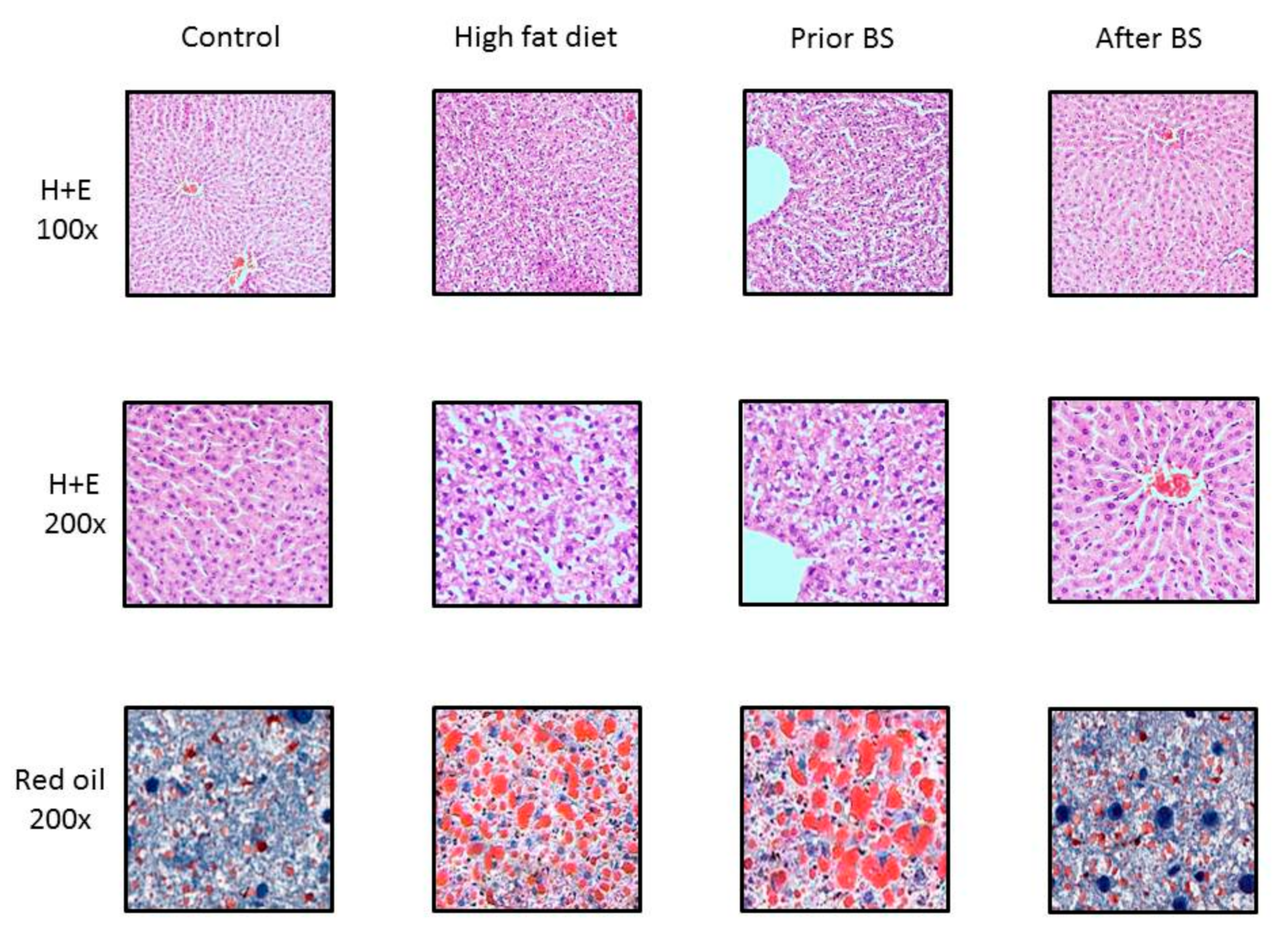 Nutrients 11 02174 g005