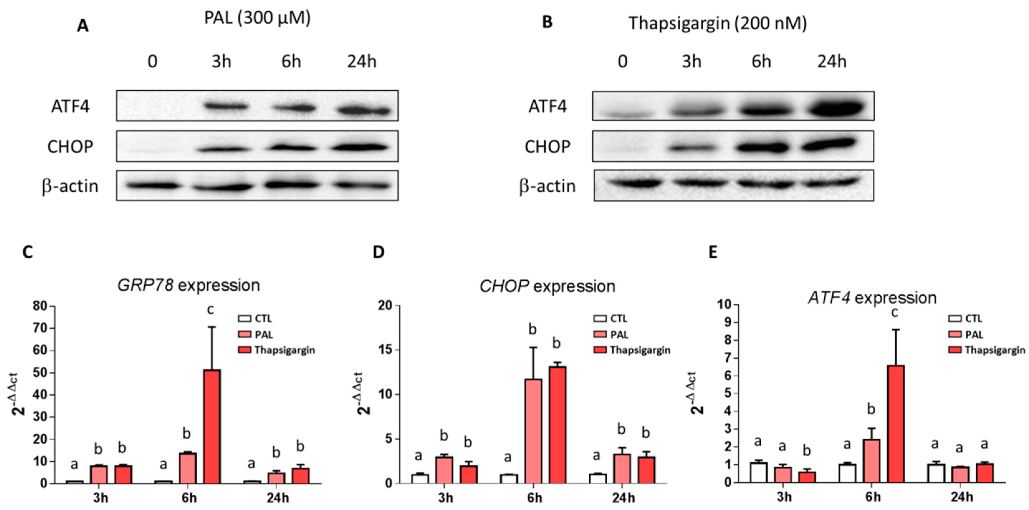 Nutrients 11 02179 g002 Nutrients 11 02179 g002