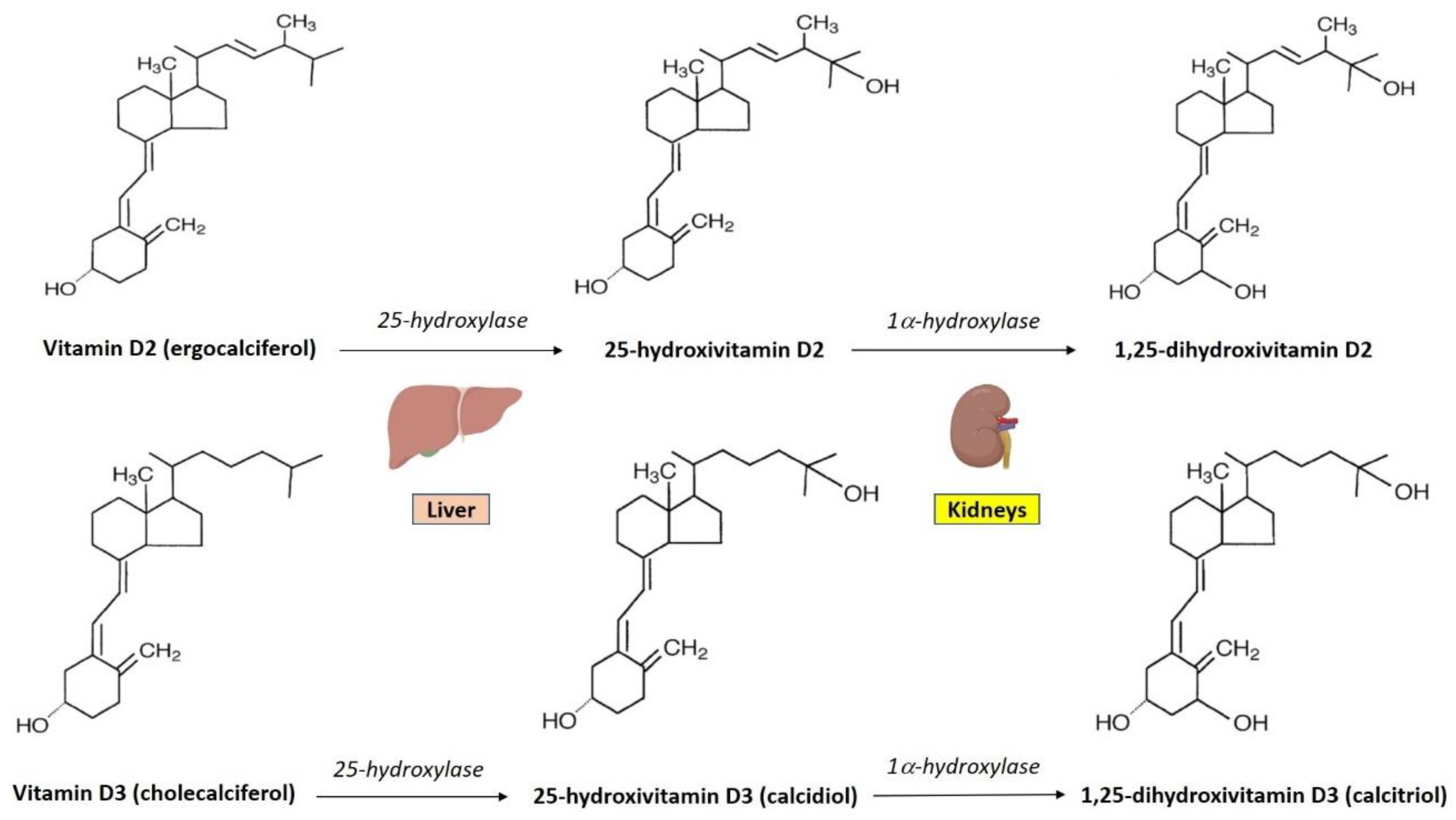 Nutrients 11 02185 g001 Nutrients 11 02185 g001
