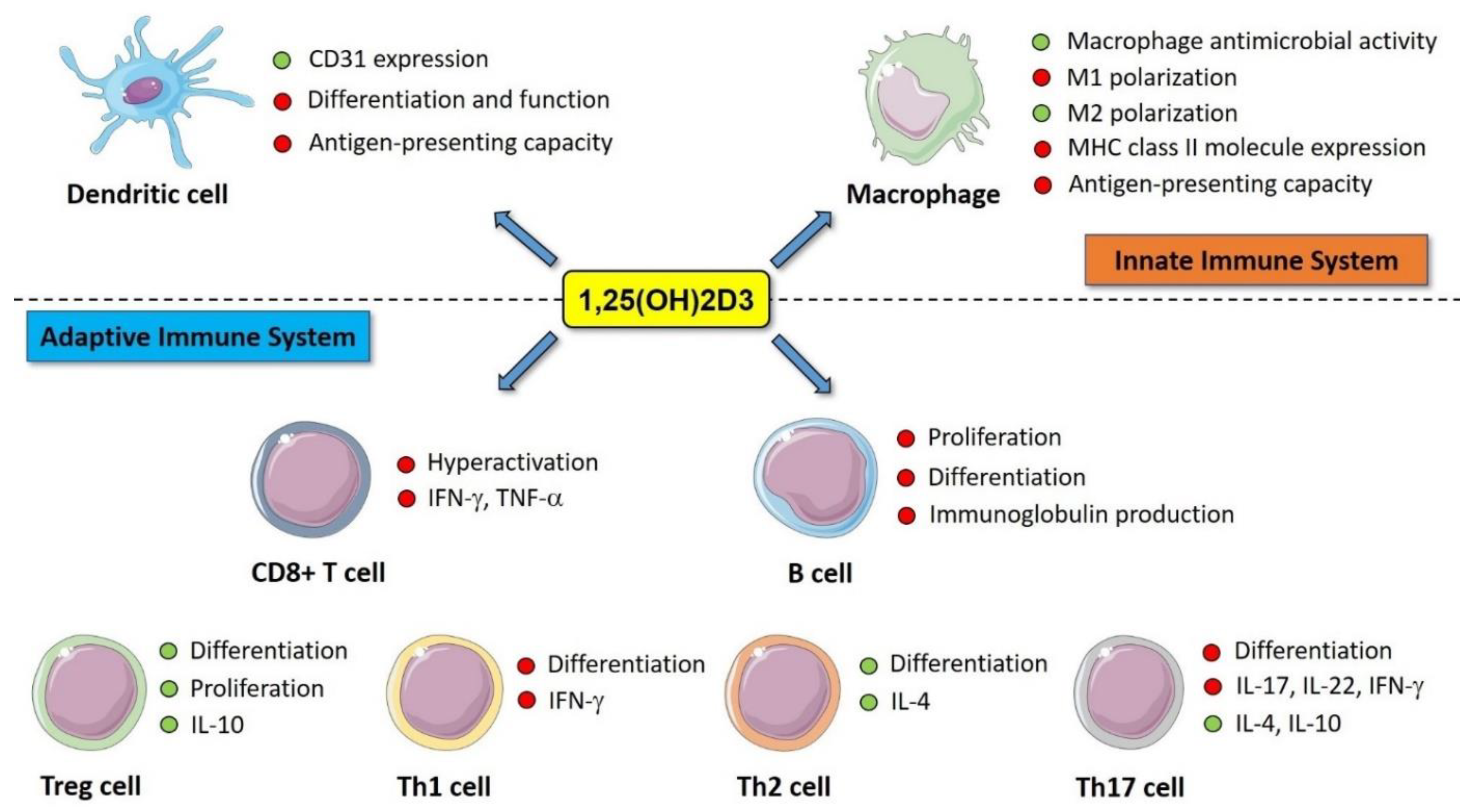Nutrients 11 02185 g002 Nutrients 11 02185 g002
