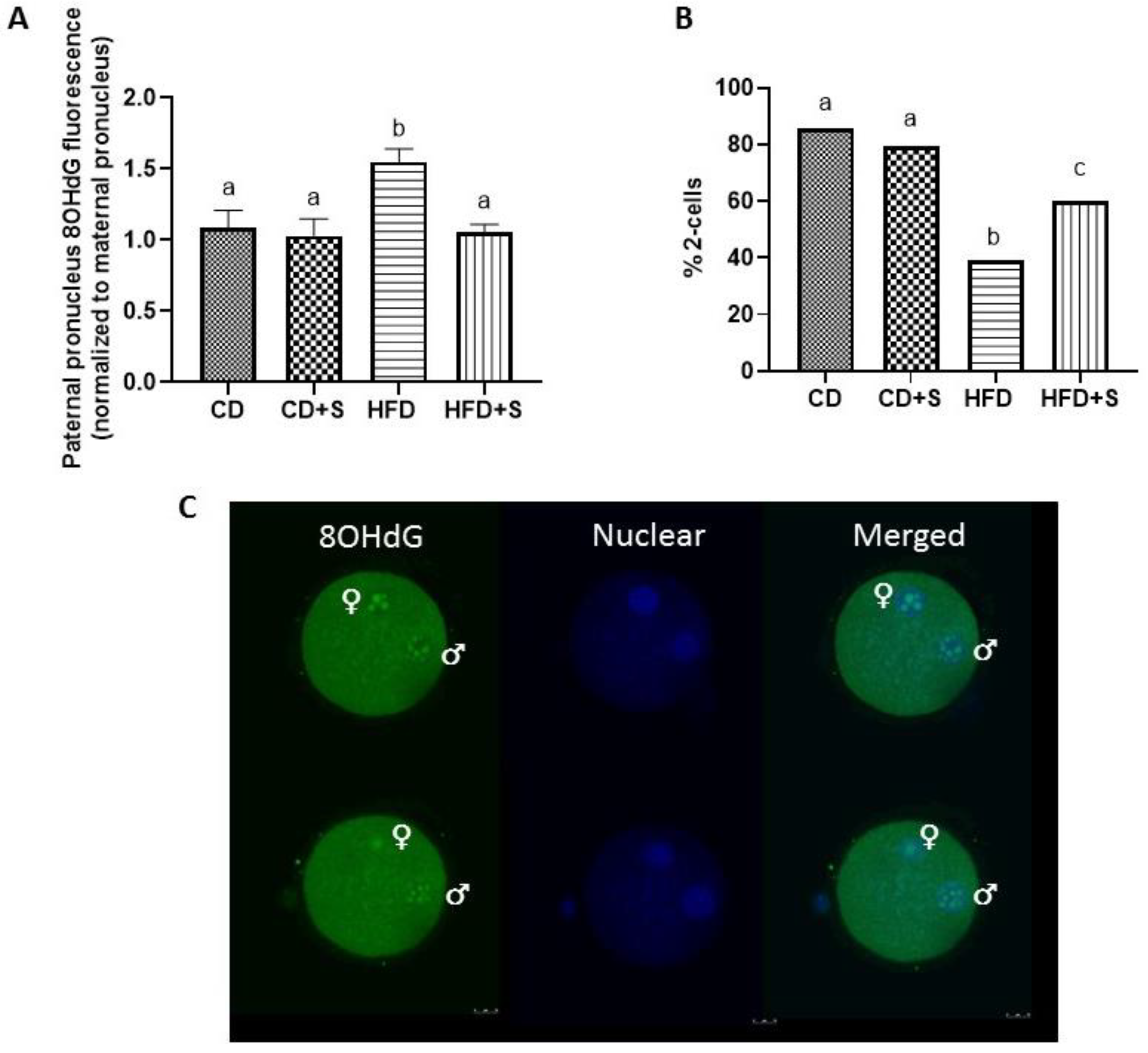 Nutrients 11 02196 g004