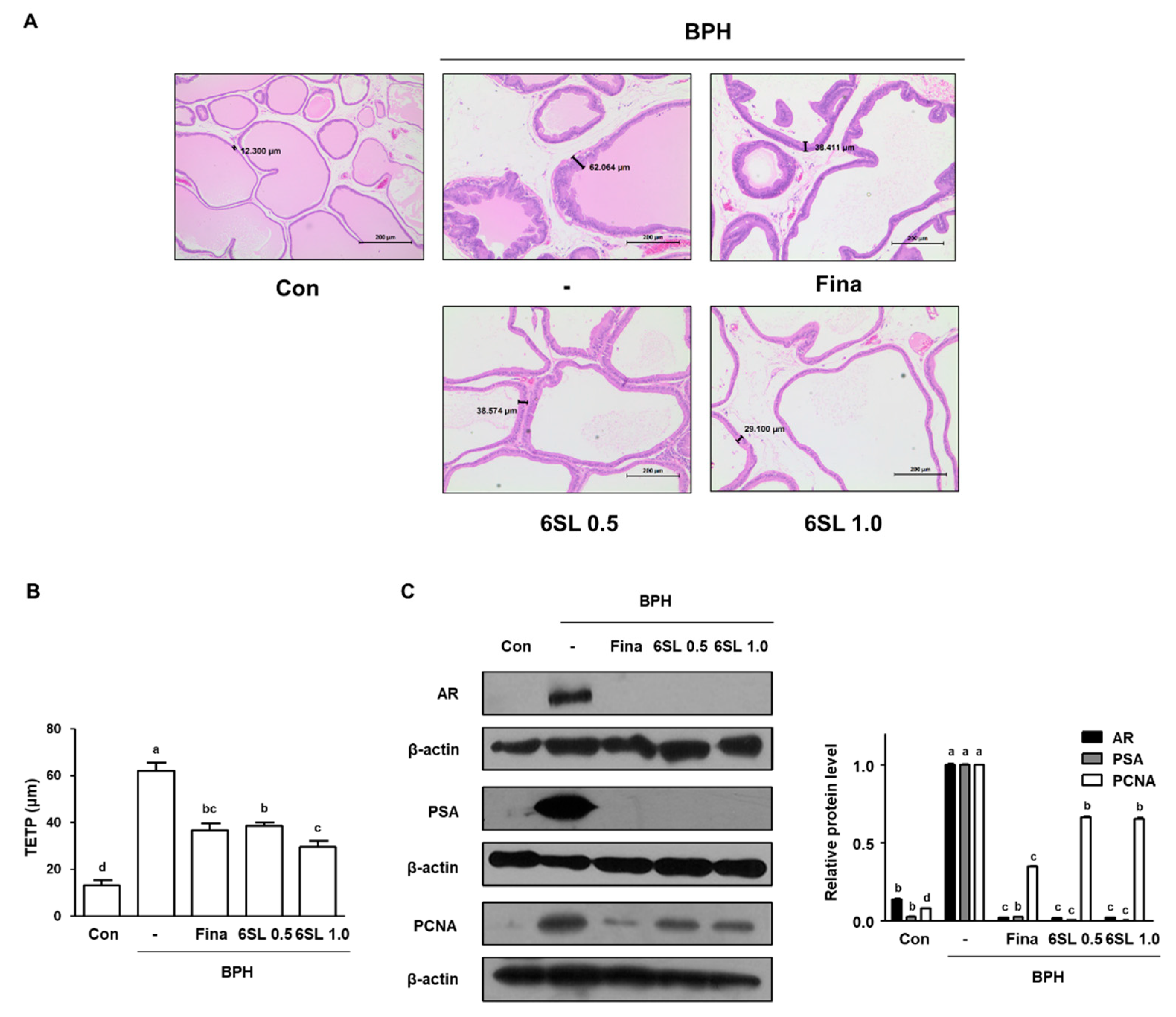 Nutrients 11 02203 g002 Nutrients 11 02203 g002