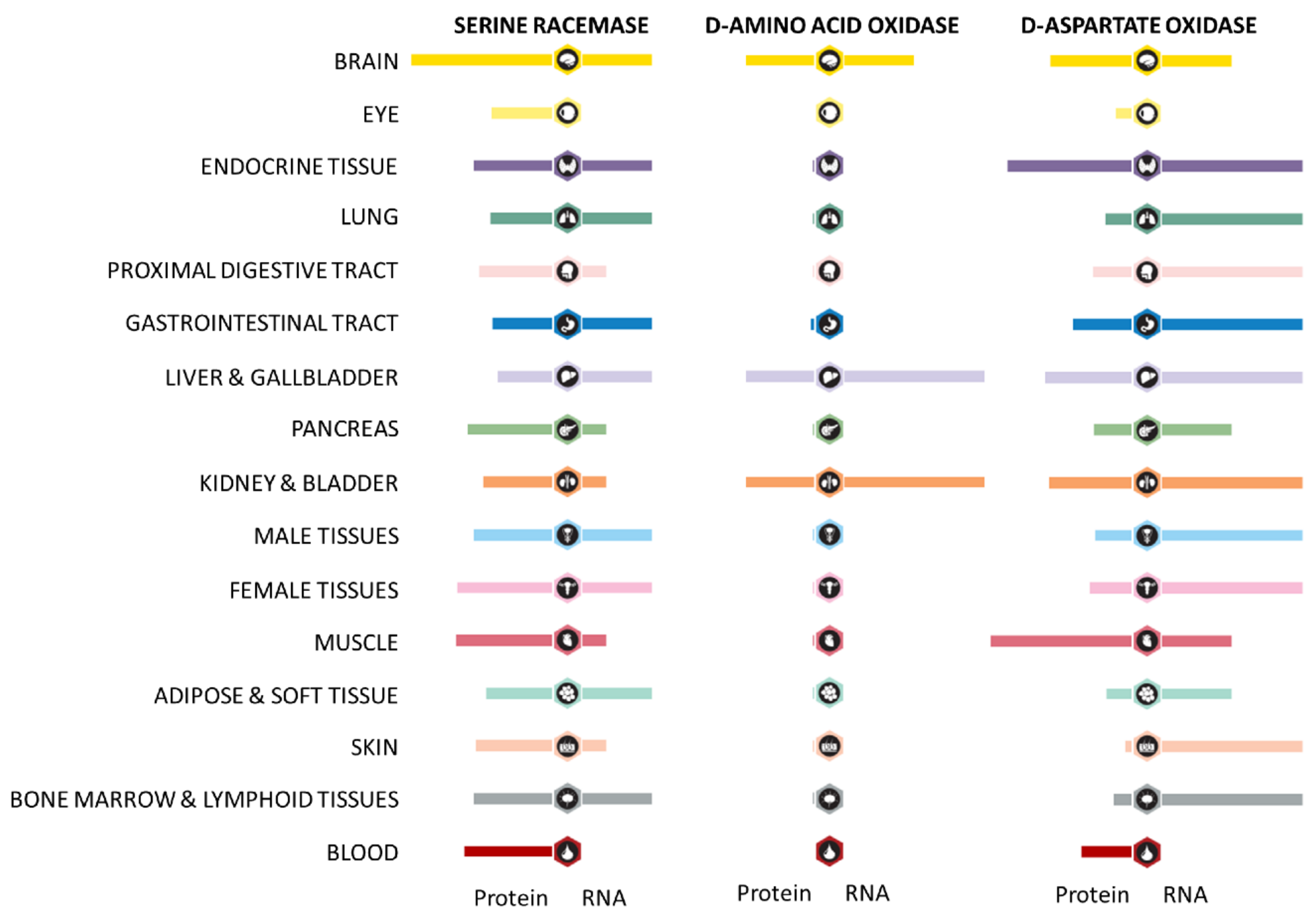 Nutrients 11 02205 g001