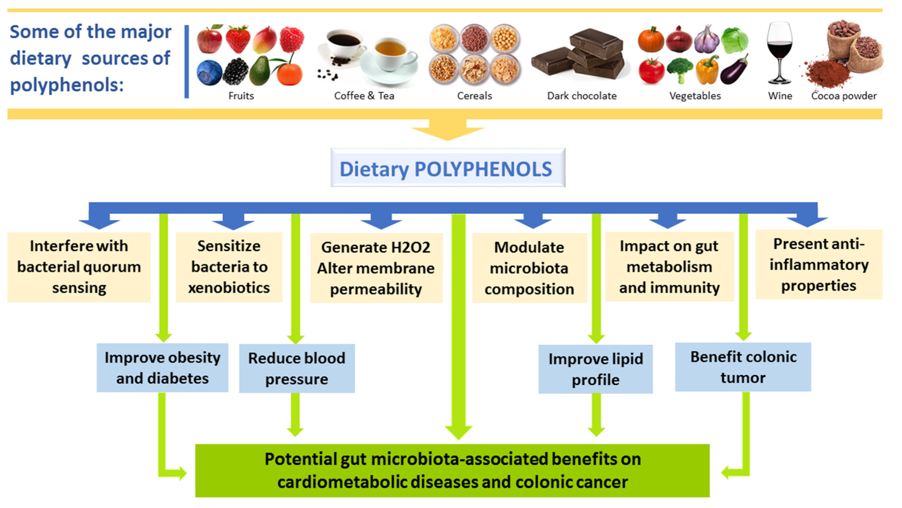 Nutrients 11 02216 g004