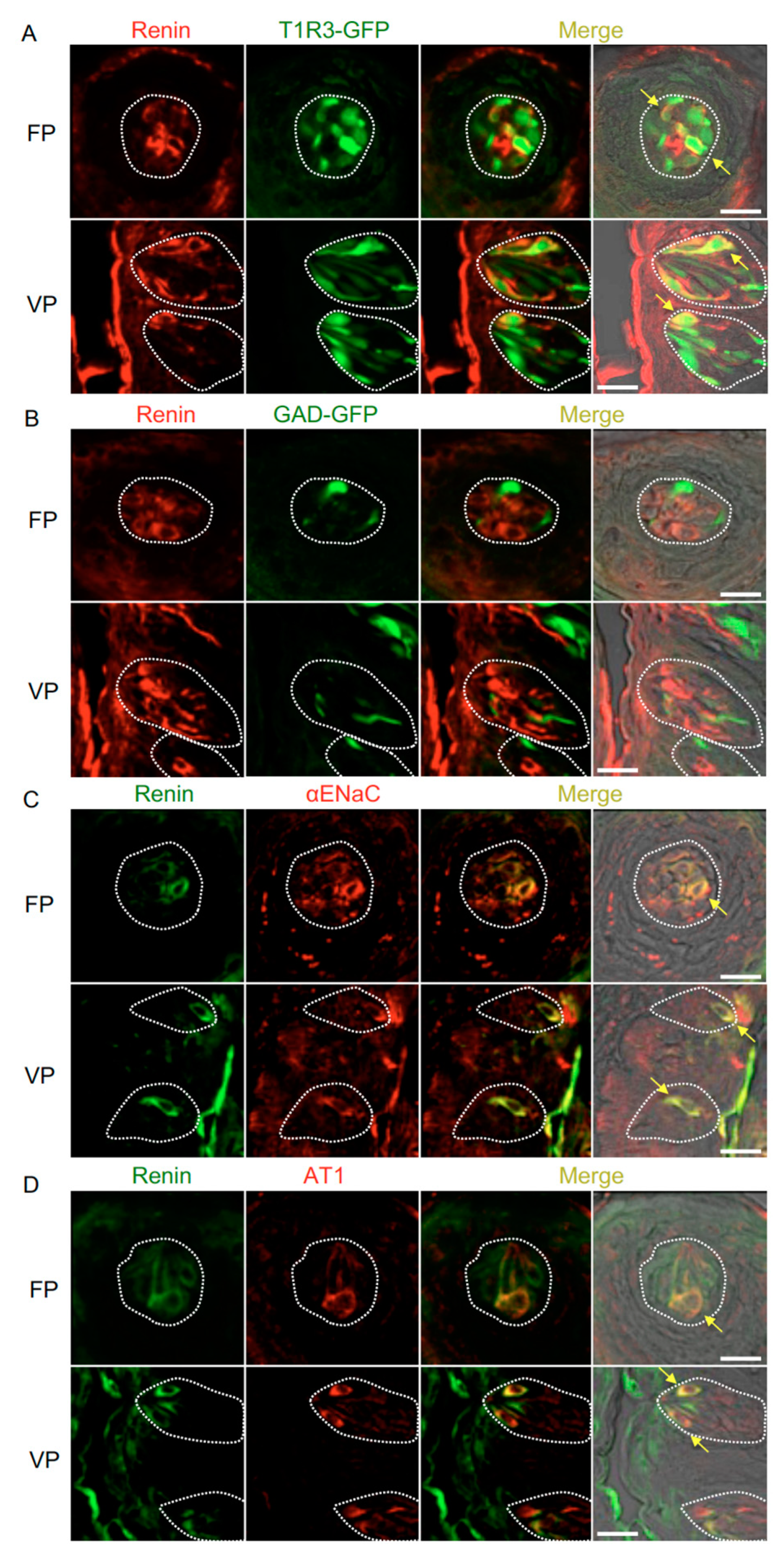 Nutrients 11 02251 g002