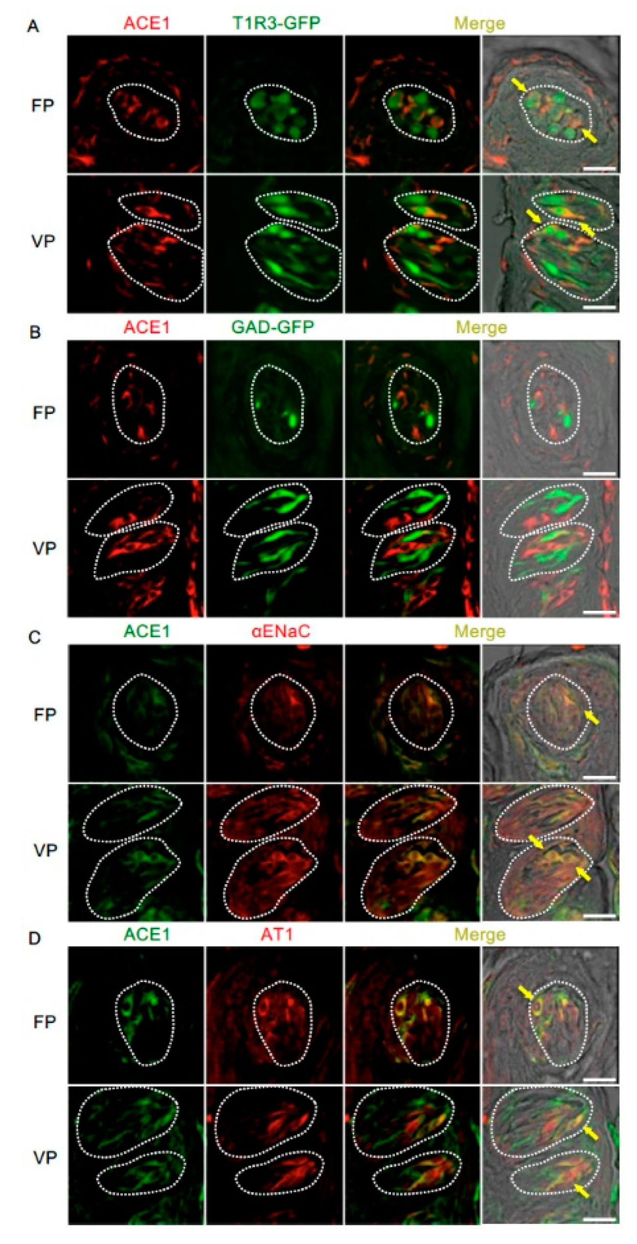 Nutrients 11 02251 g003