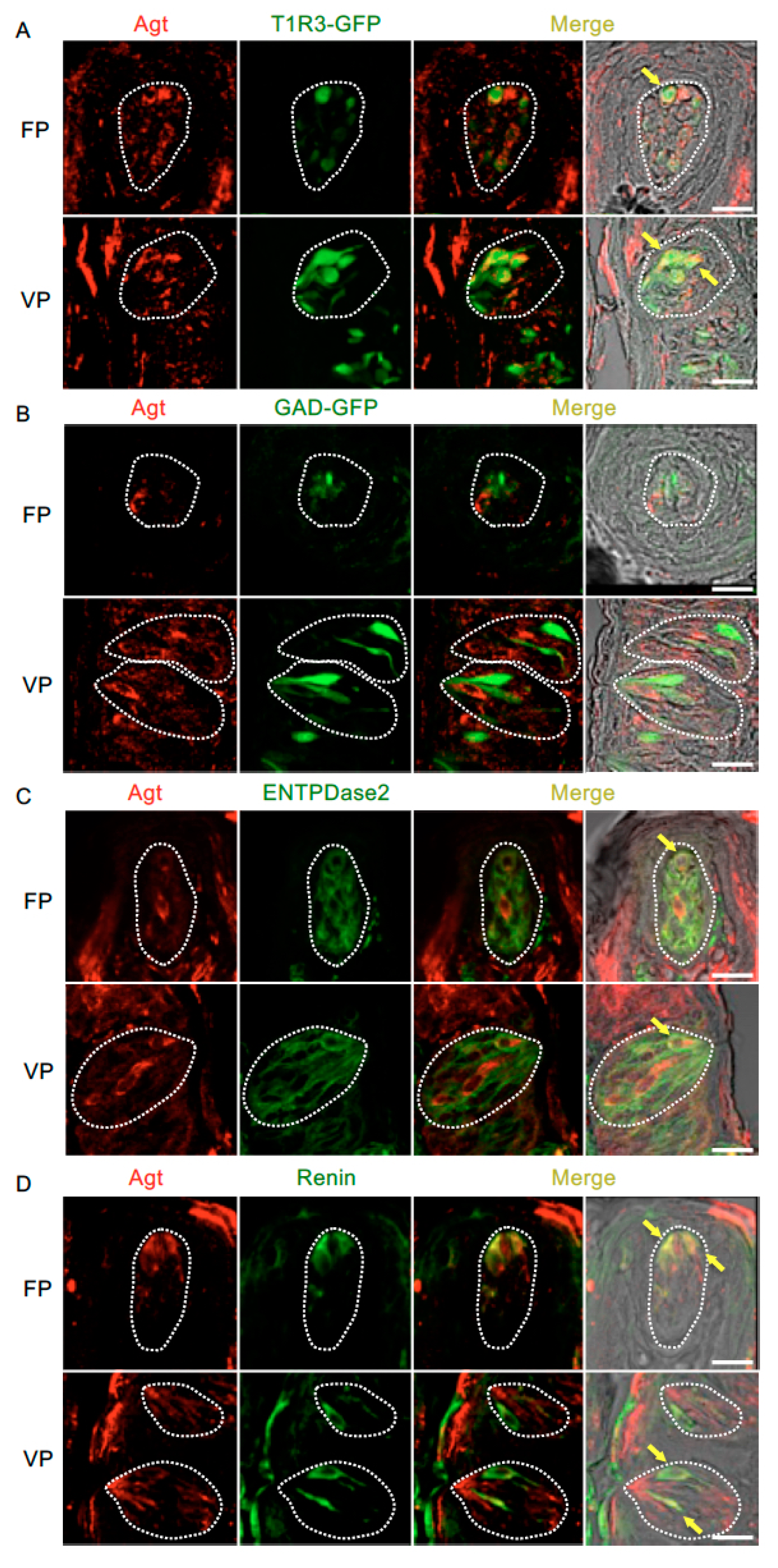 Nutrients 11 02251 g004