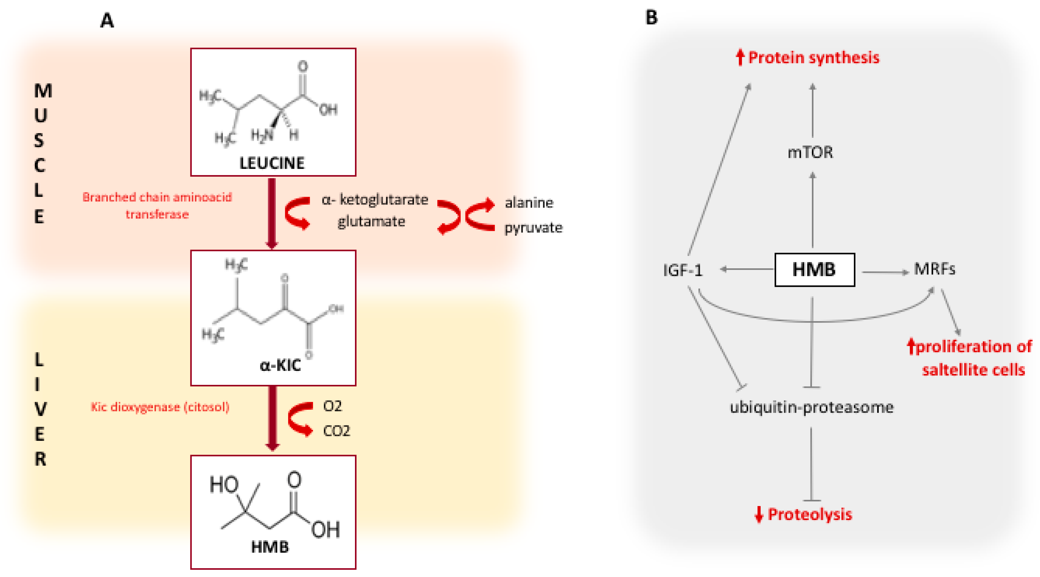 Nutrients 11 02259 g001