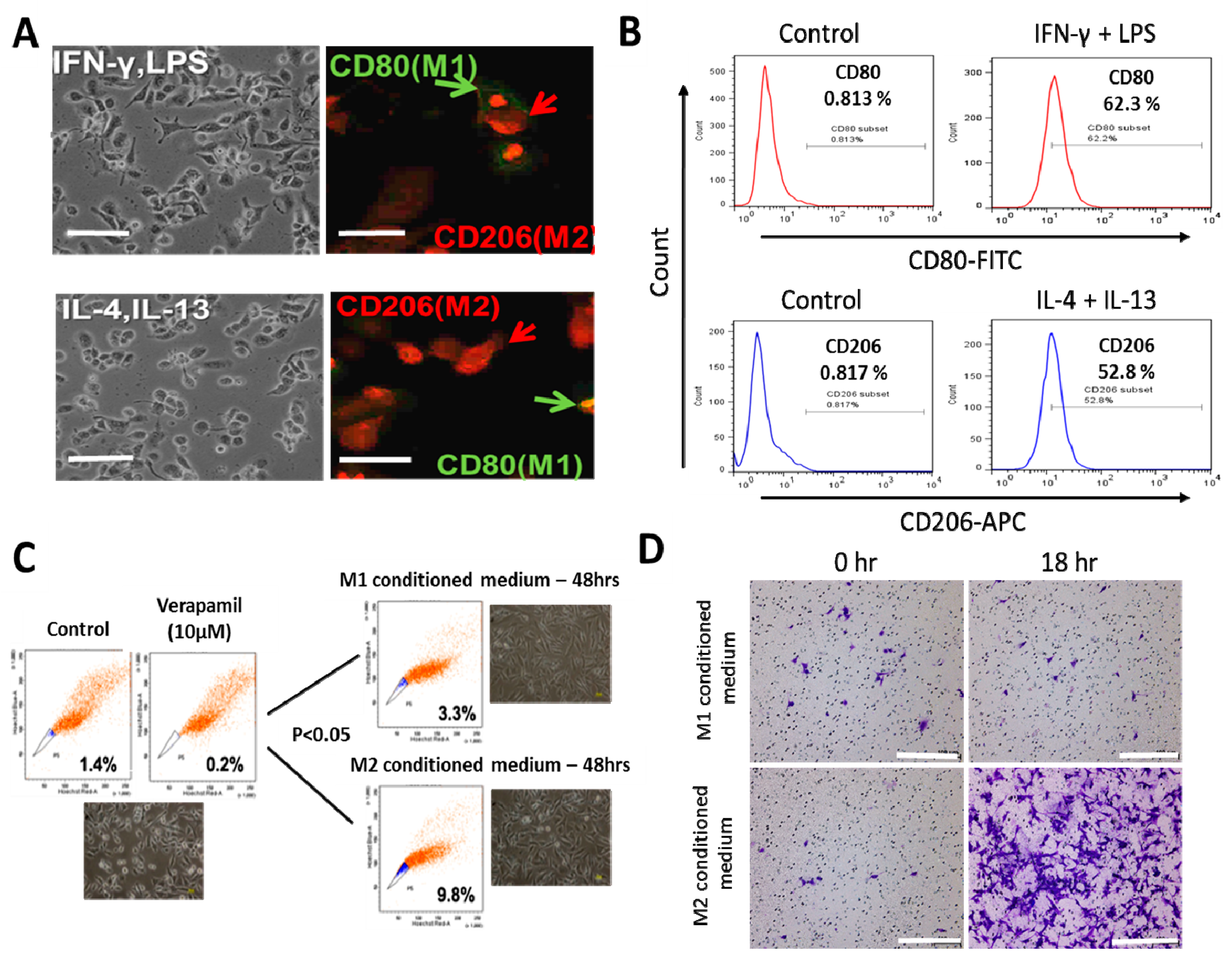 Nutrients 11 02264 g001