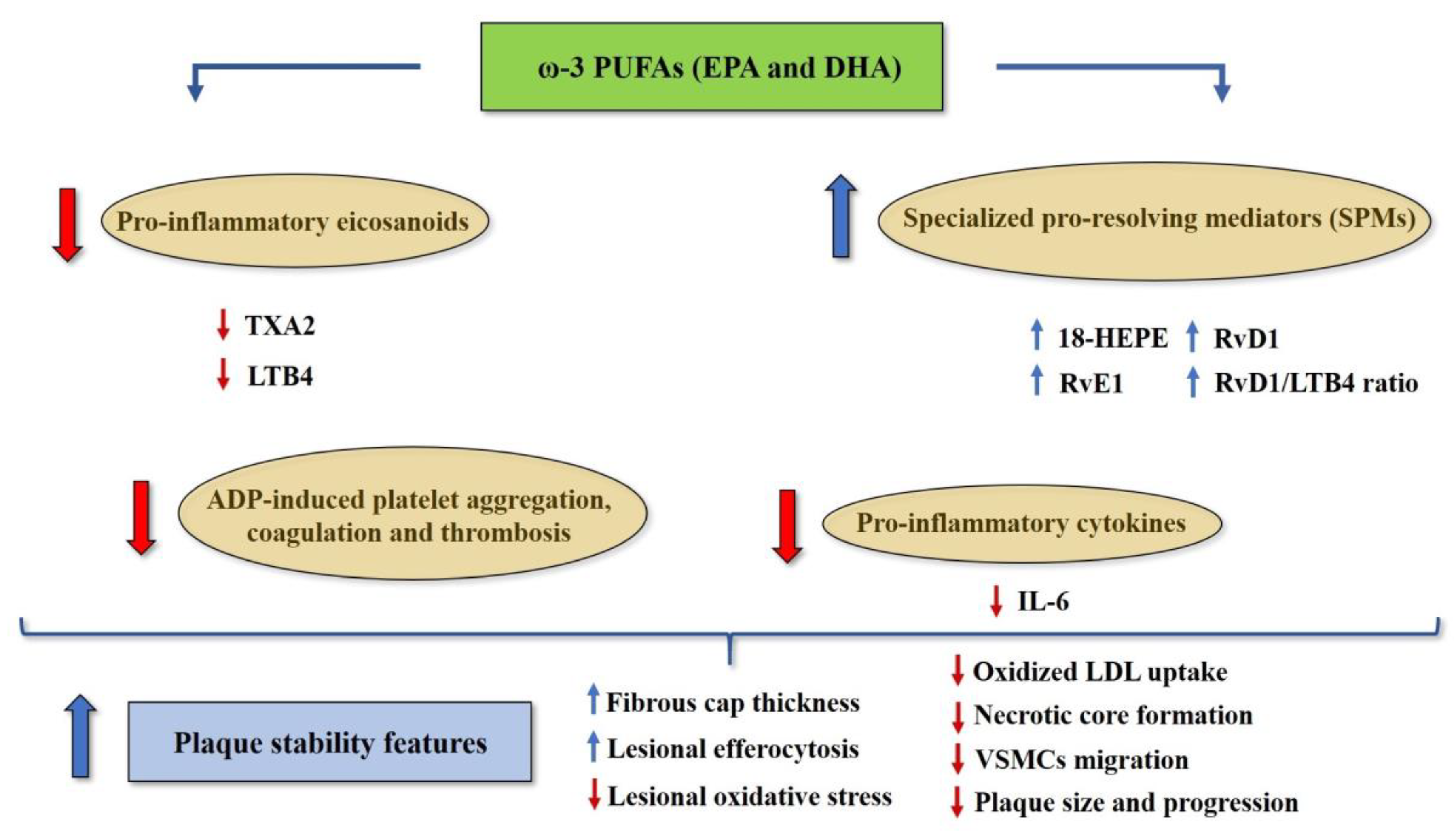 Nutrients 11 02279 g003