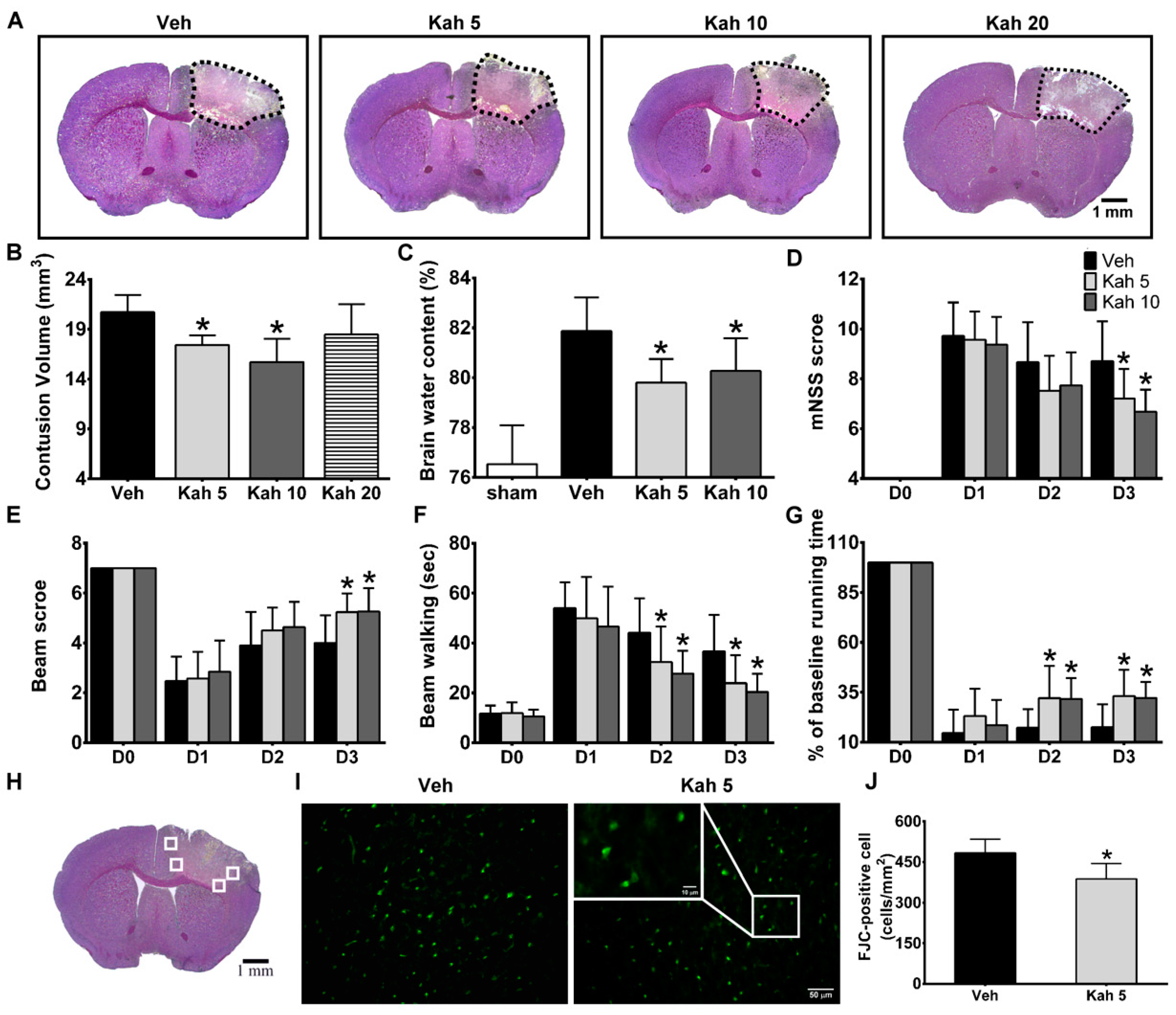 Nutrients 11 02301 g001