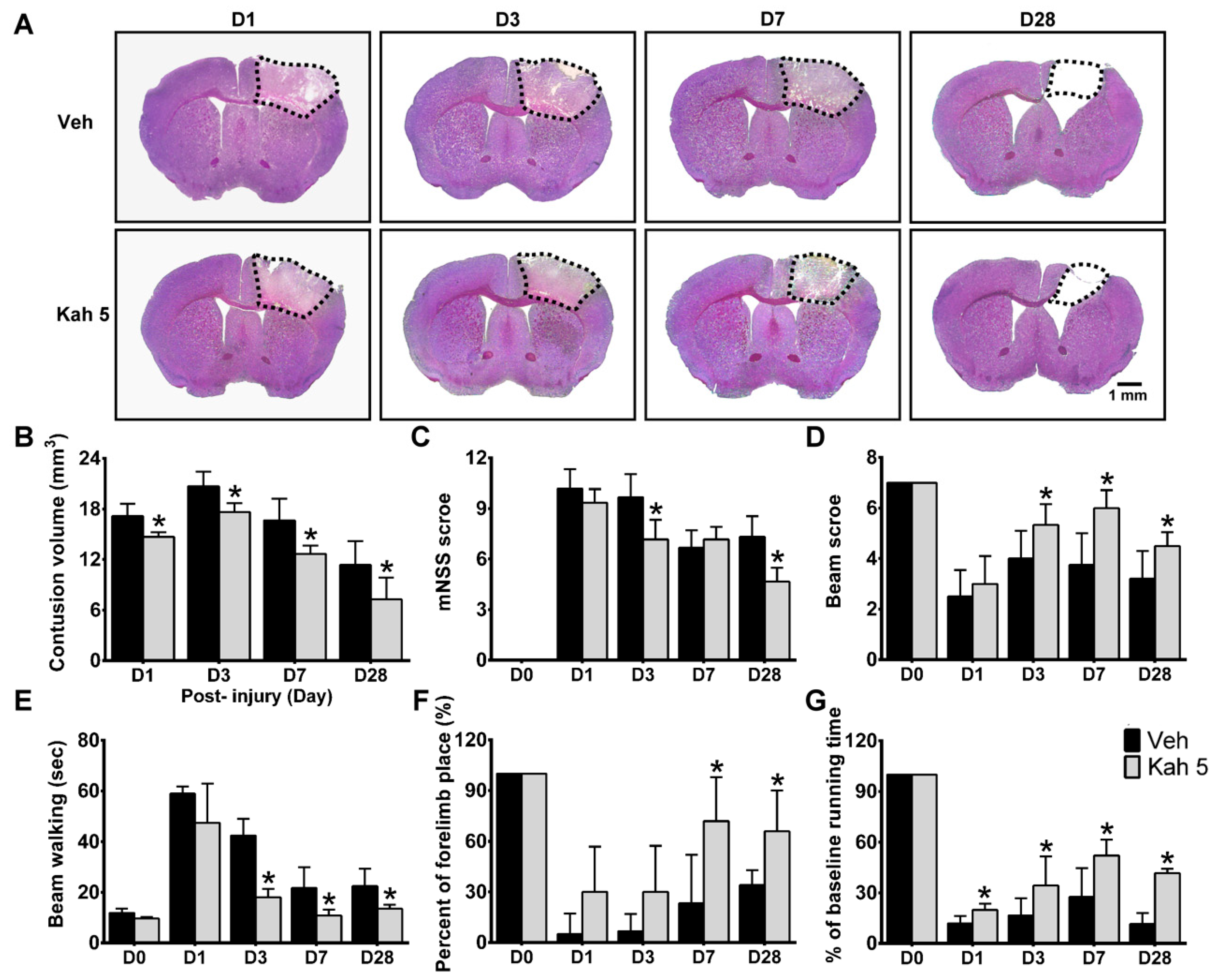 Nutrients 11 02301 g002