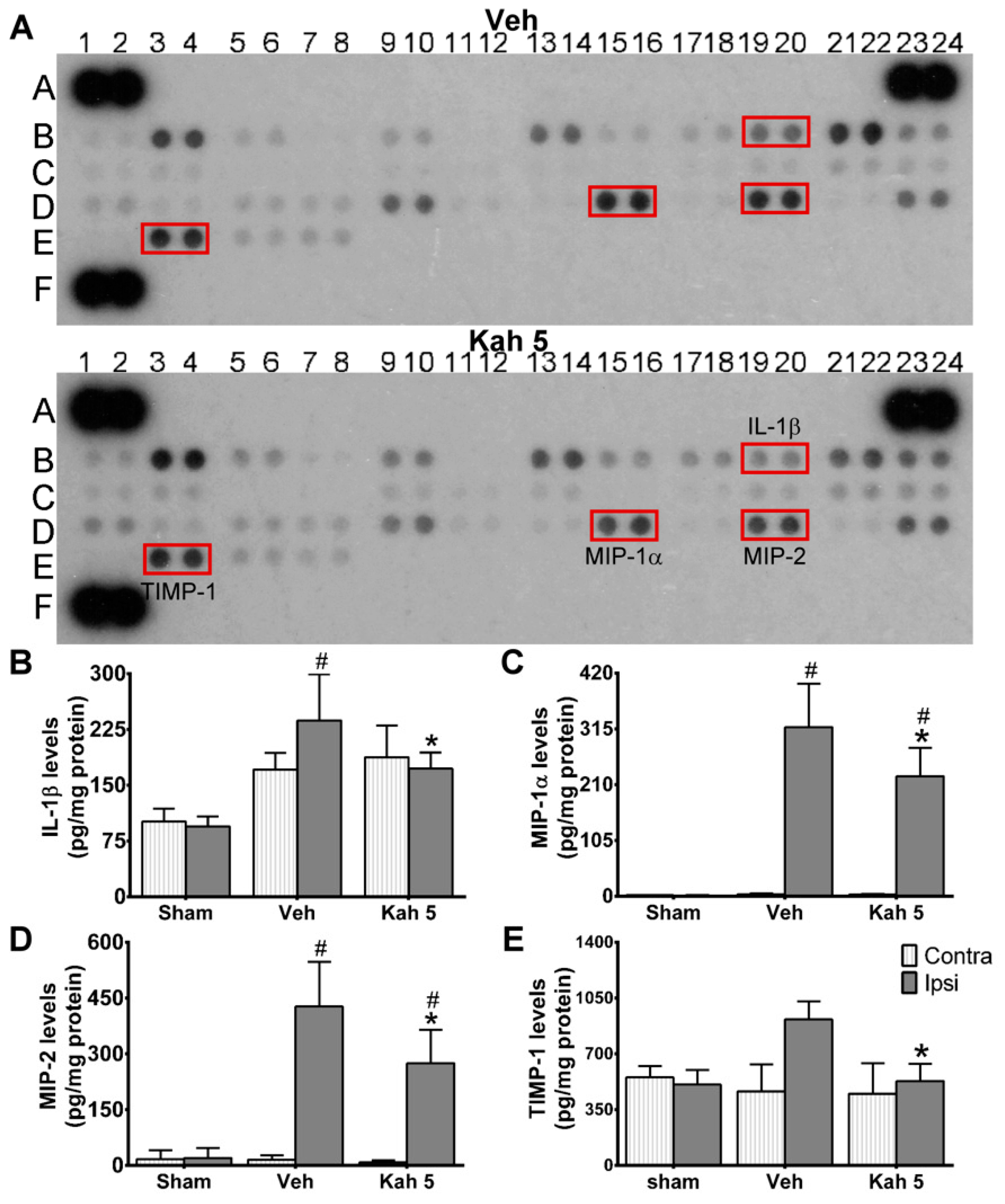 Nutrients 11 02301 g003