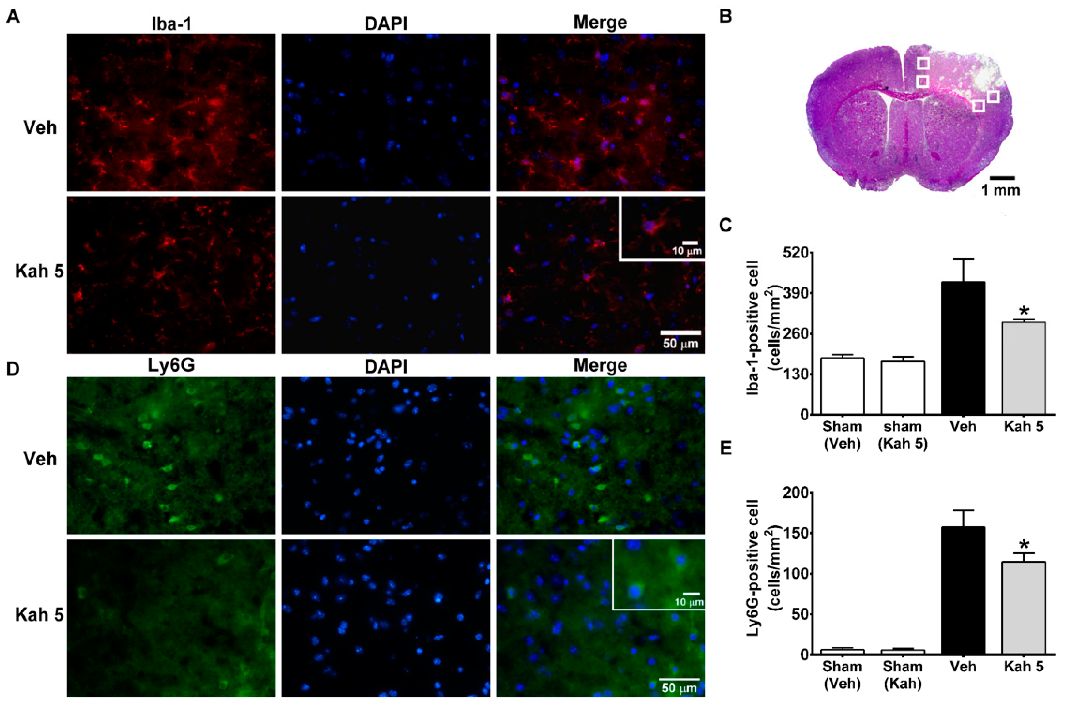 Nutrients 11 02301 g004