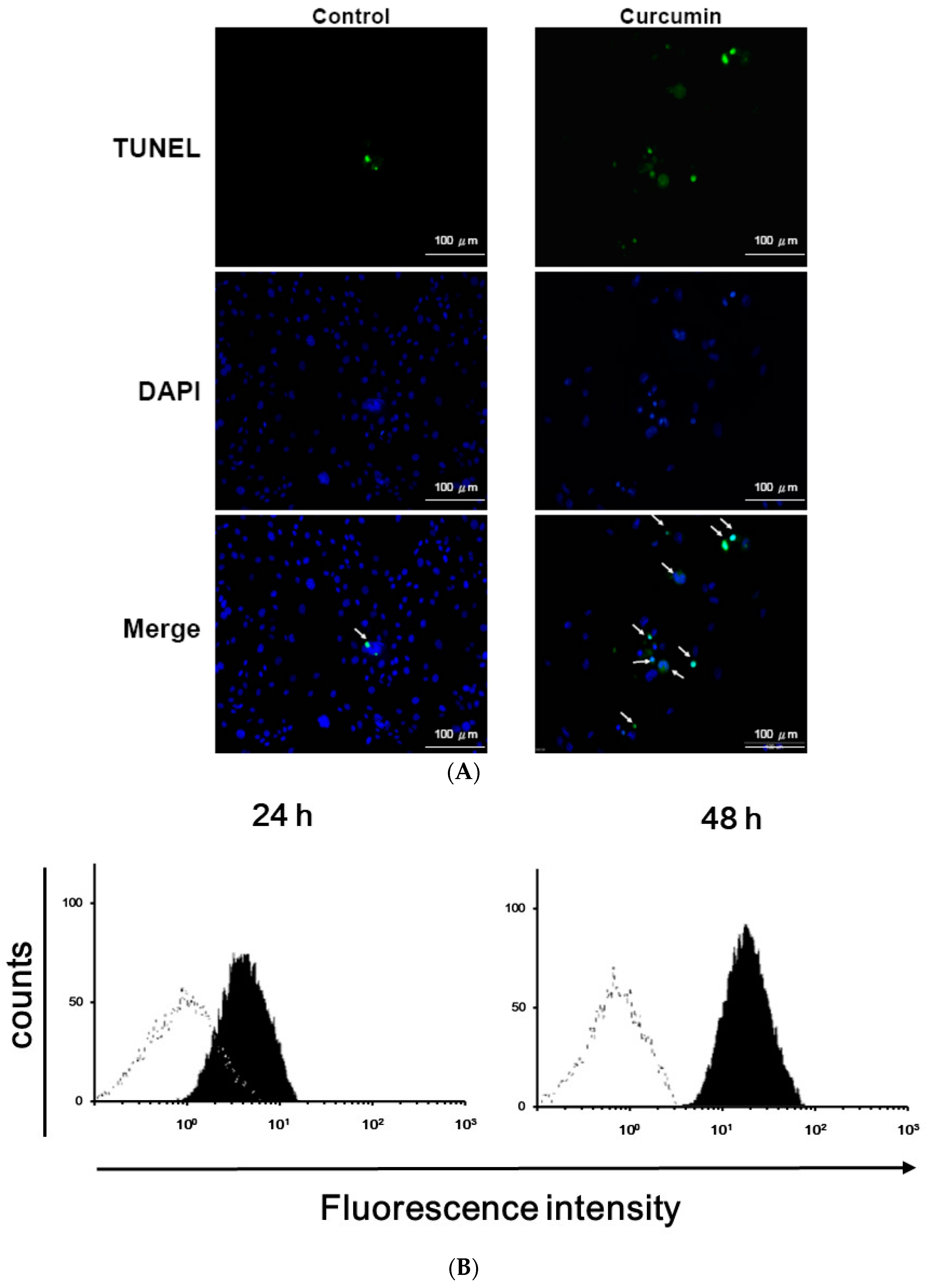 Nutrients 11 02307 g002a