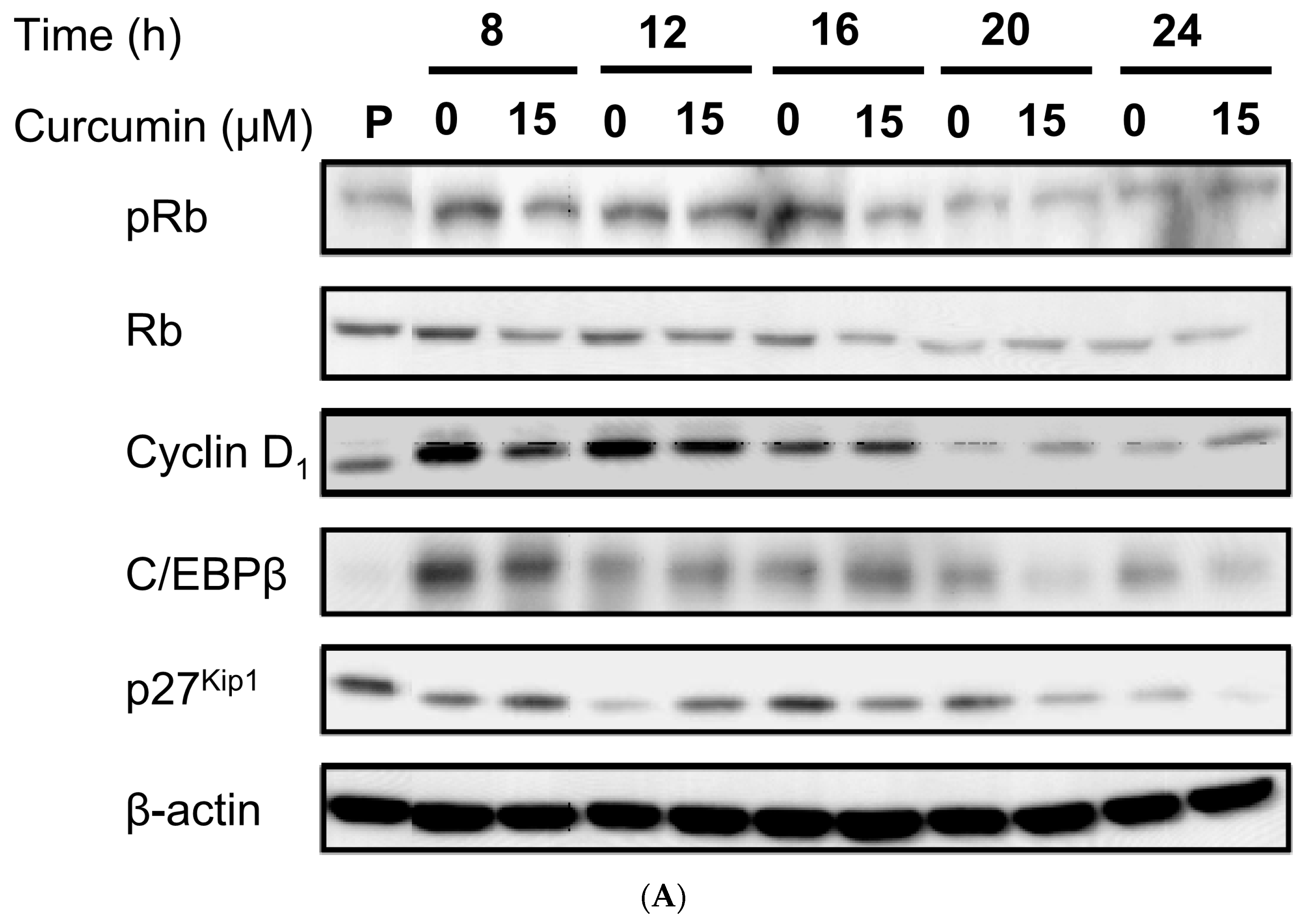 Nutrients 11 02307 g005a